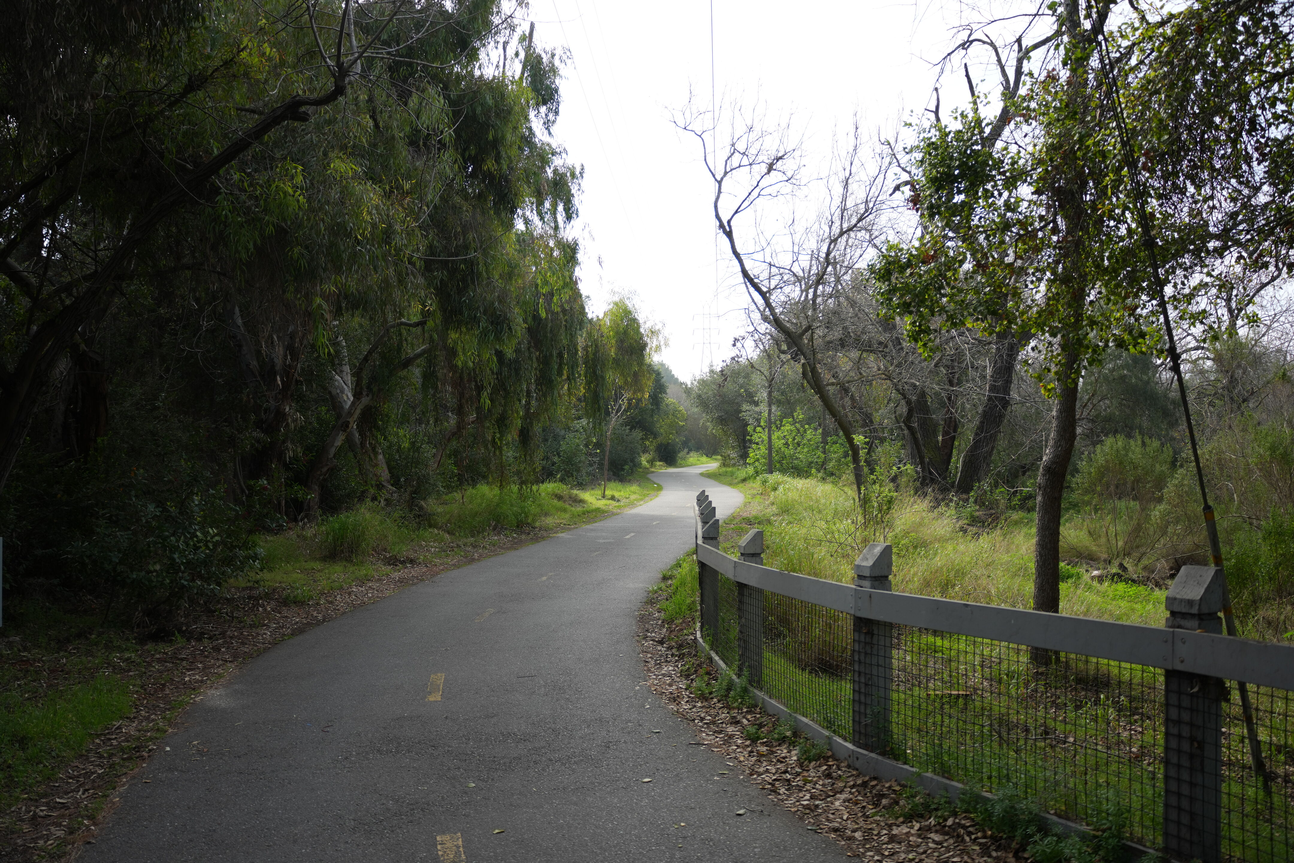 Mountain View Downtown