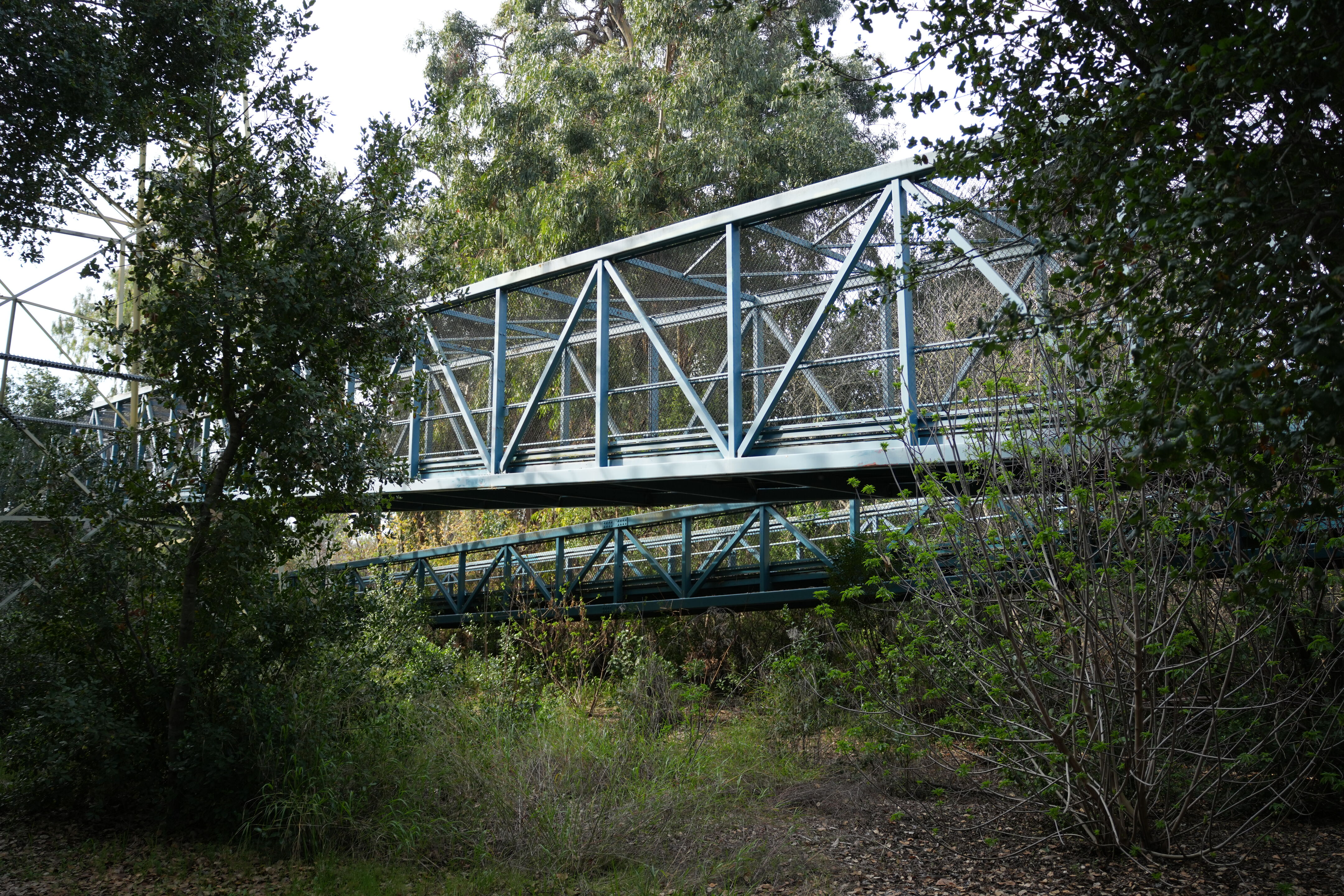 Mountain View Downtown