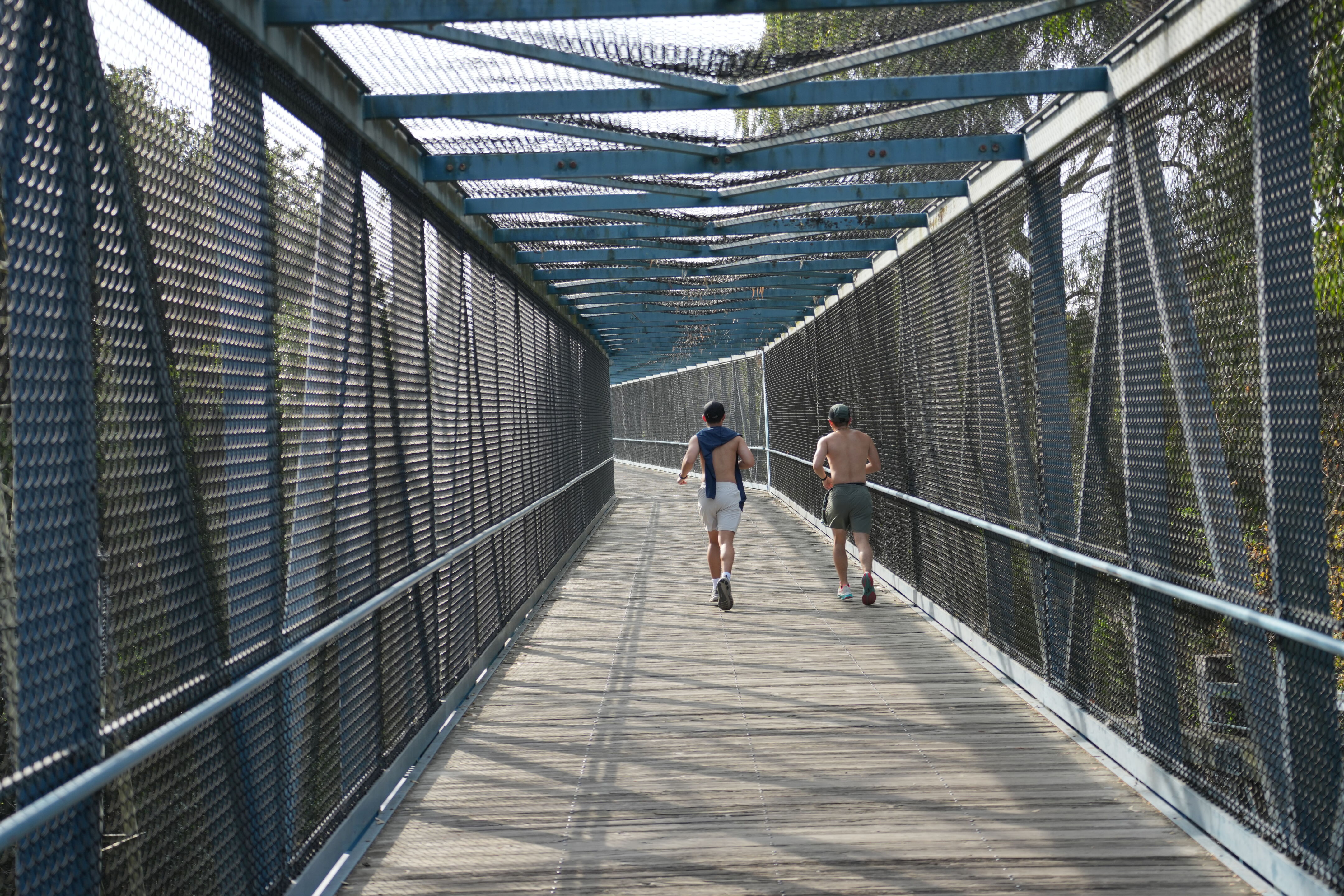 Mountain View Downtown