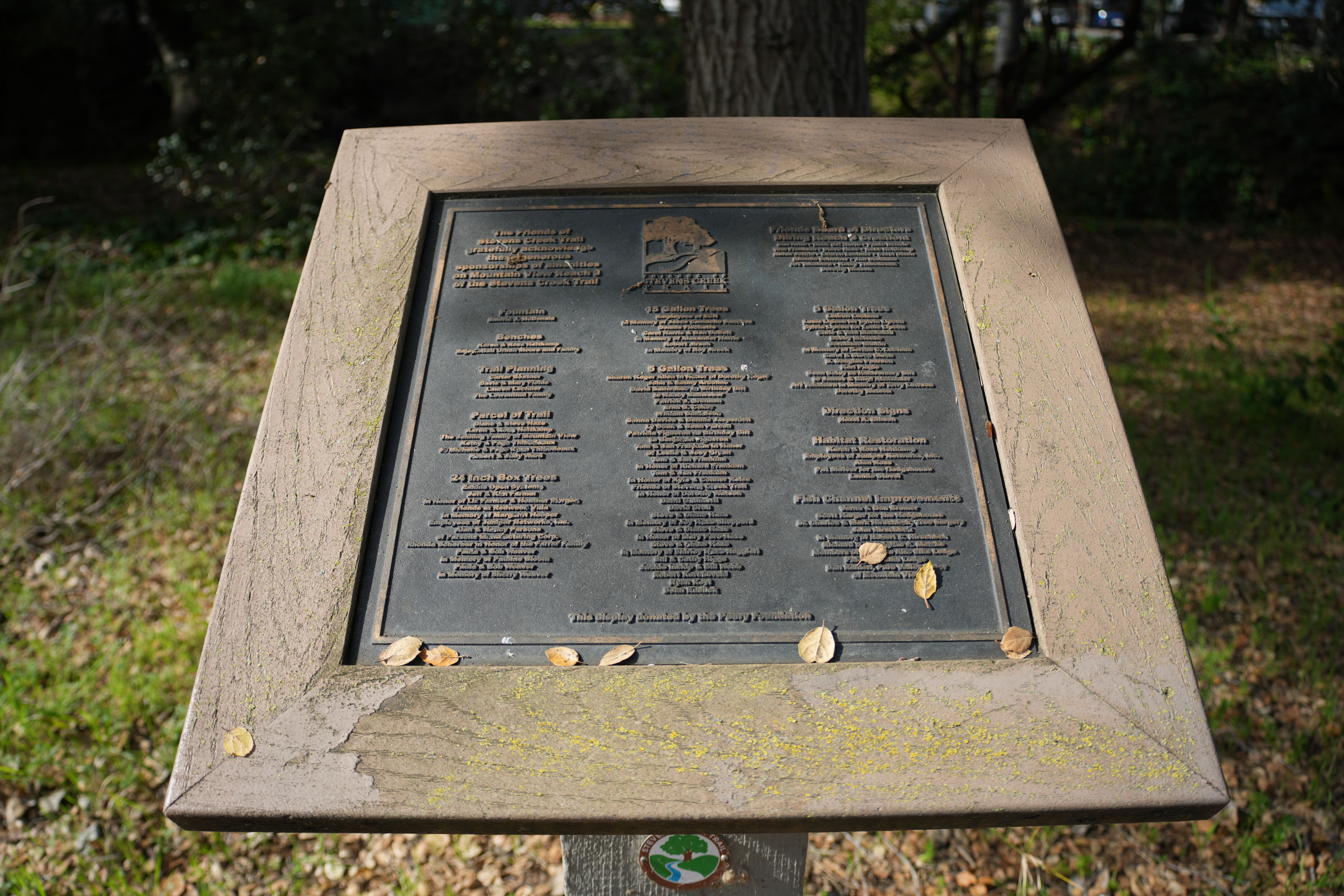 Mountain View Downtown