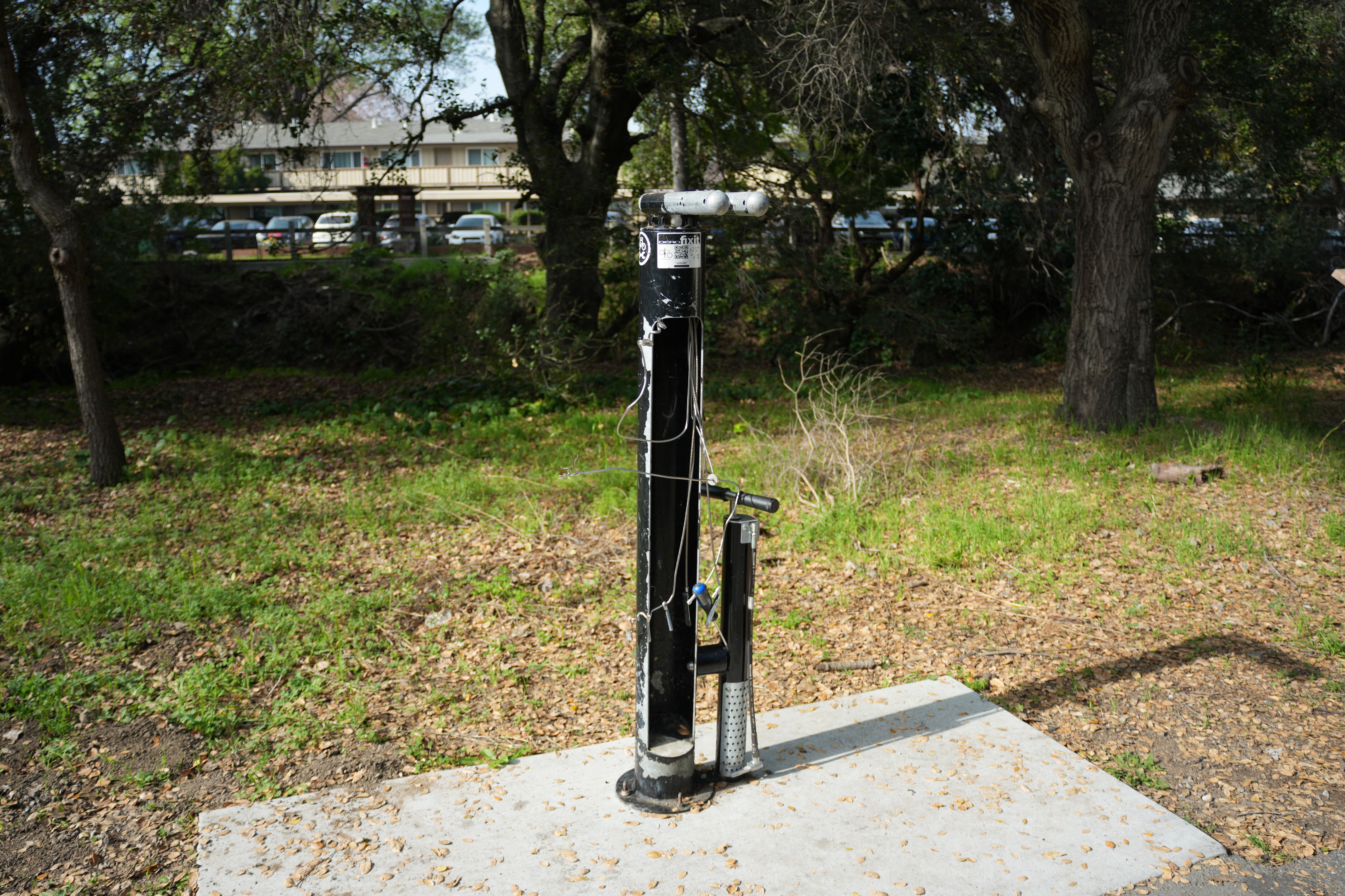 Mountain View Downtown