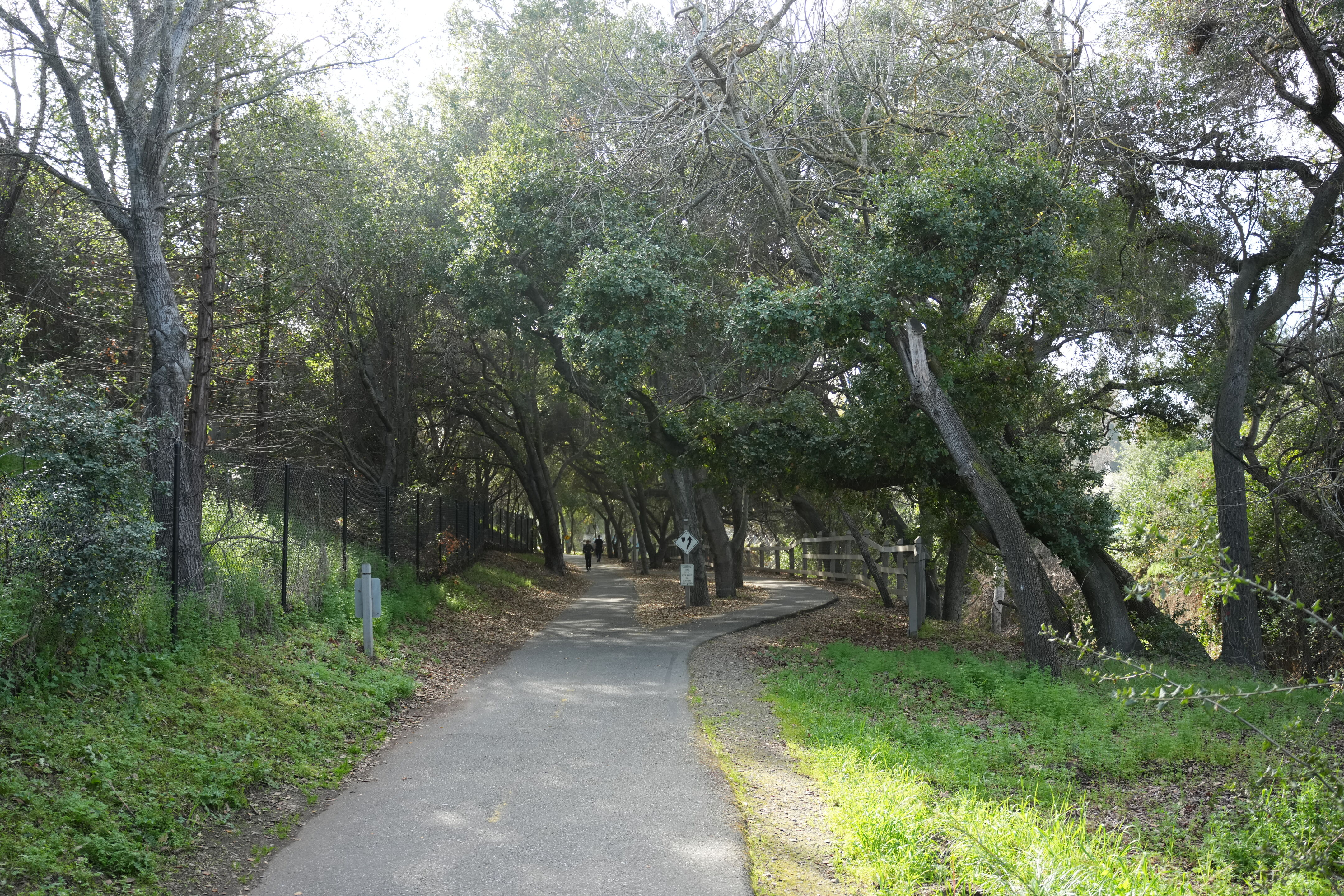 Mountain View Downtown