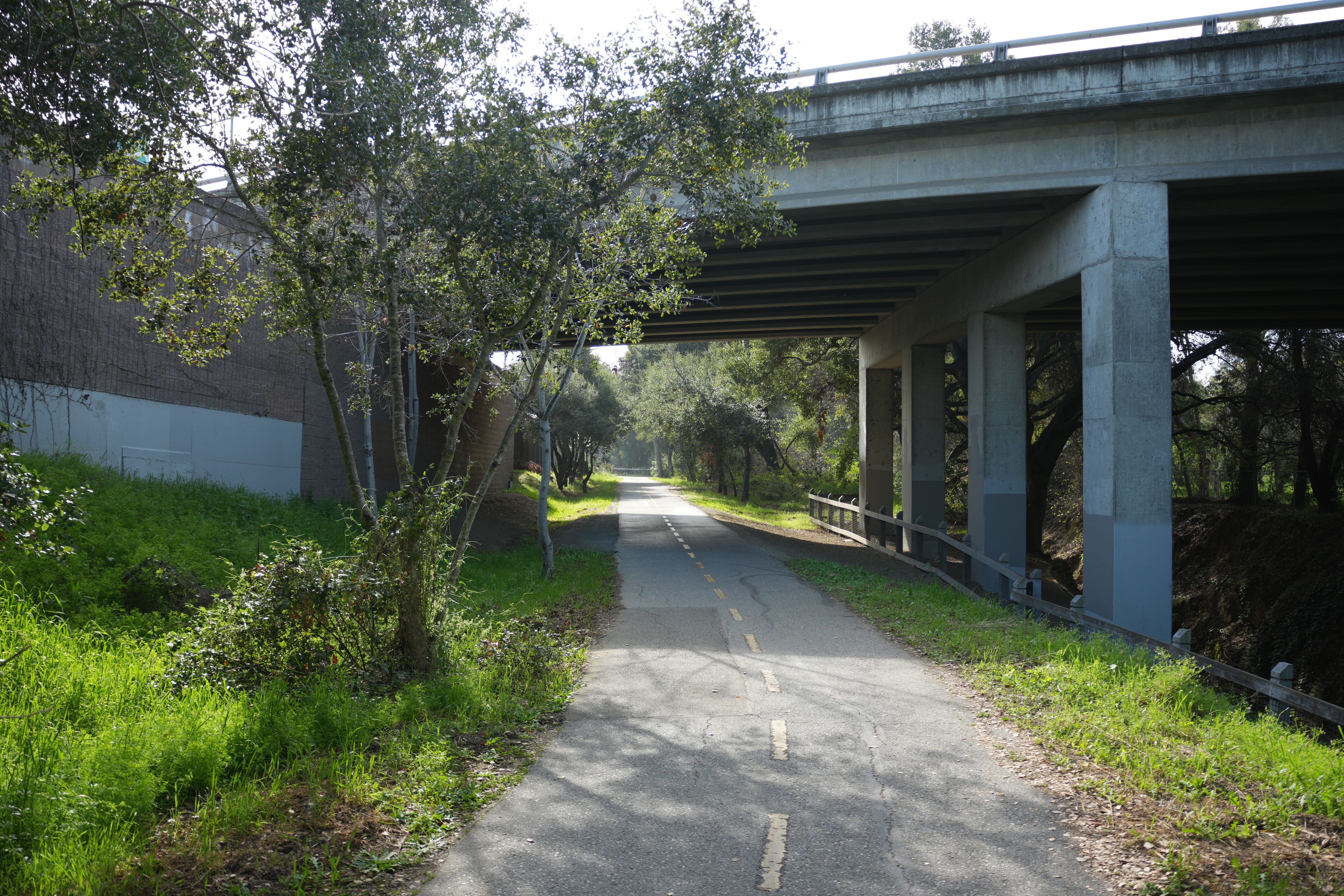 Mountain View Downtown