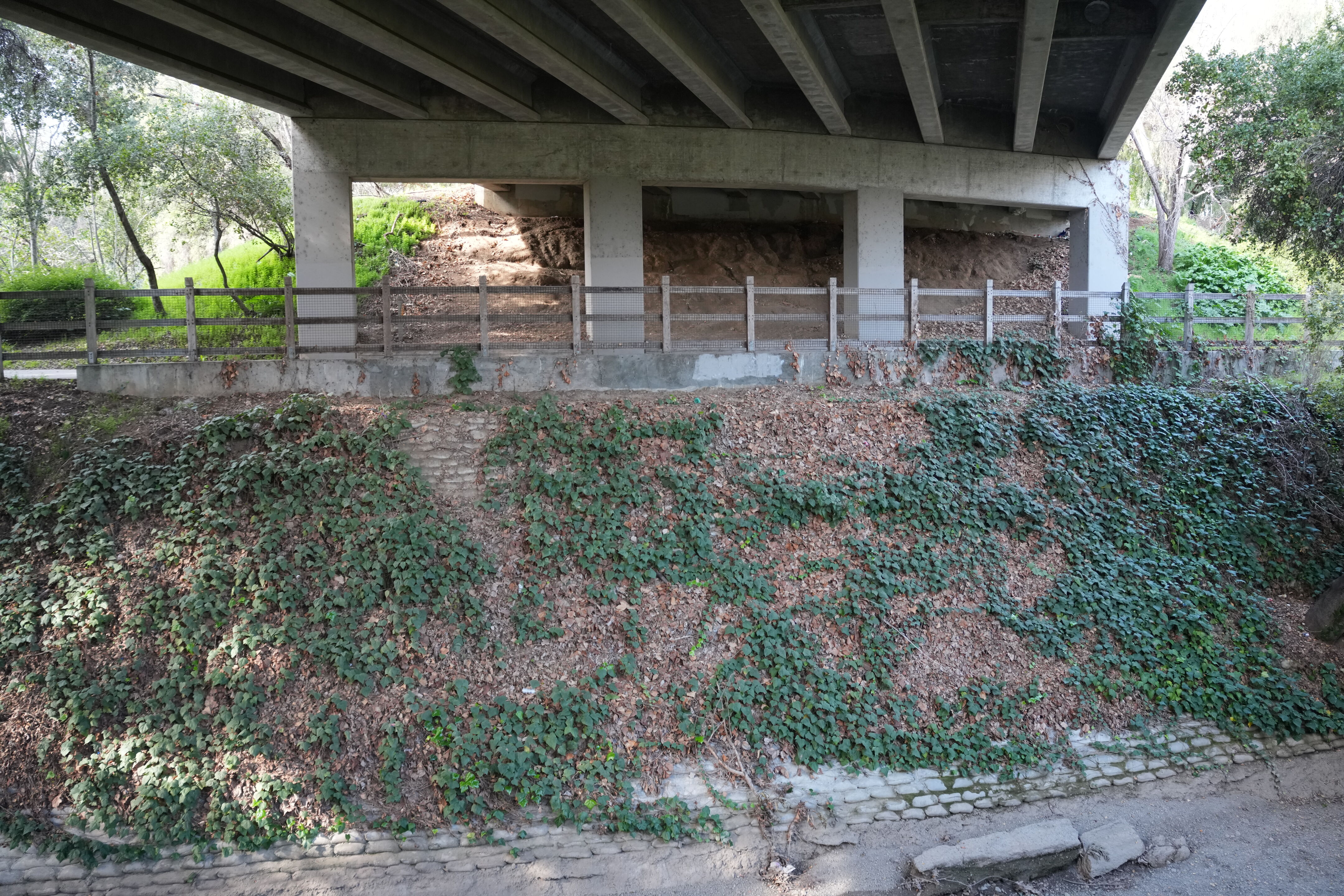 Mountain View Downtown