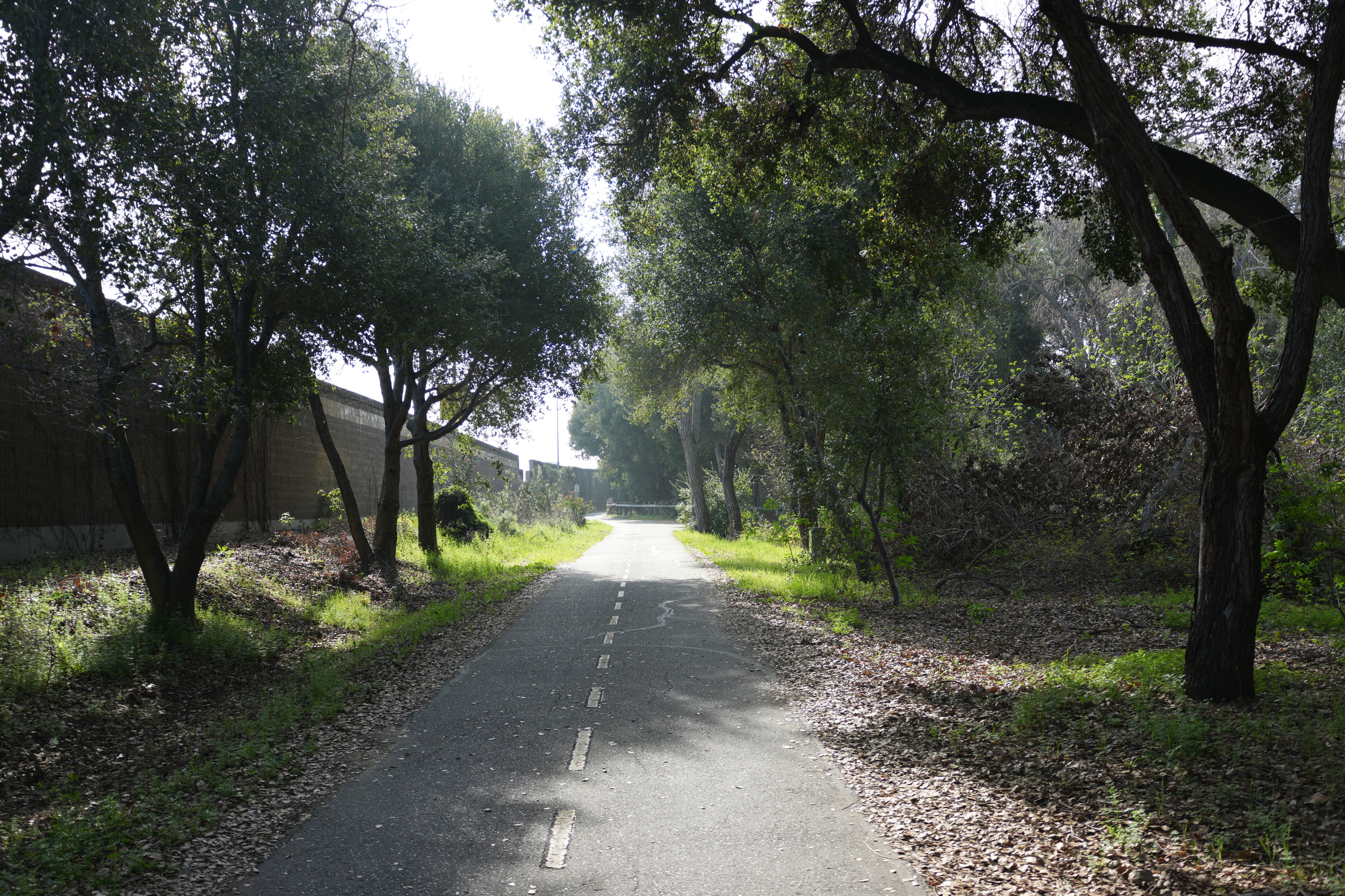 Mountain View Downtown