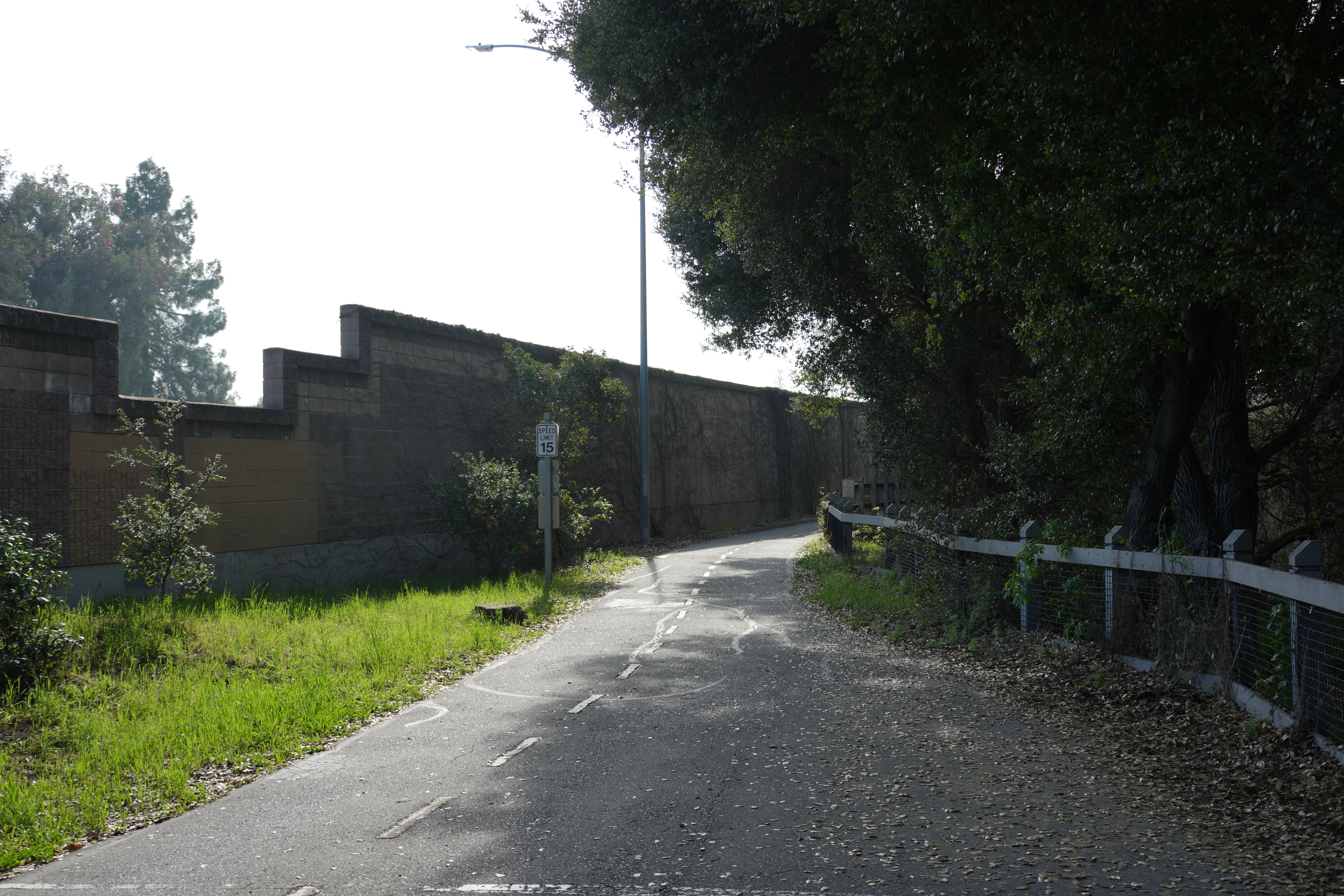 Mountain View Downtown