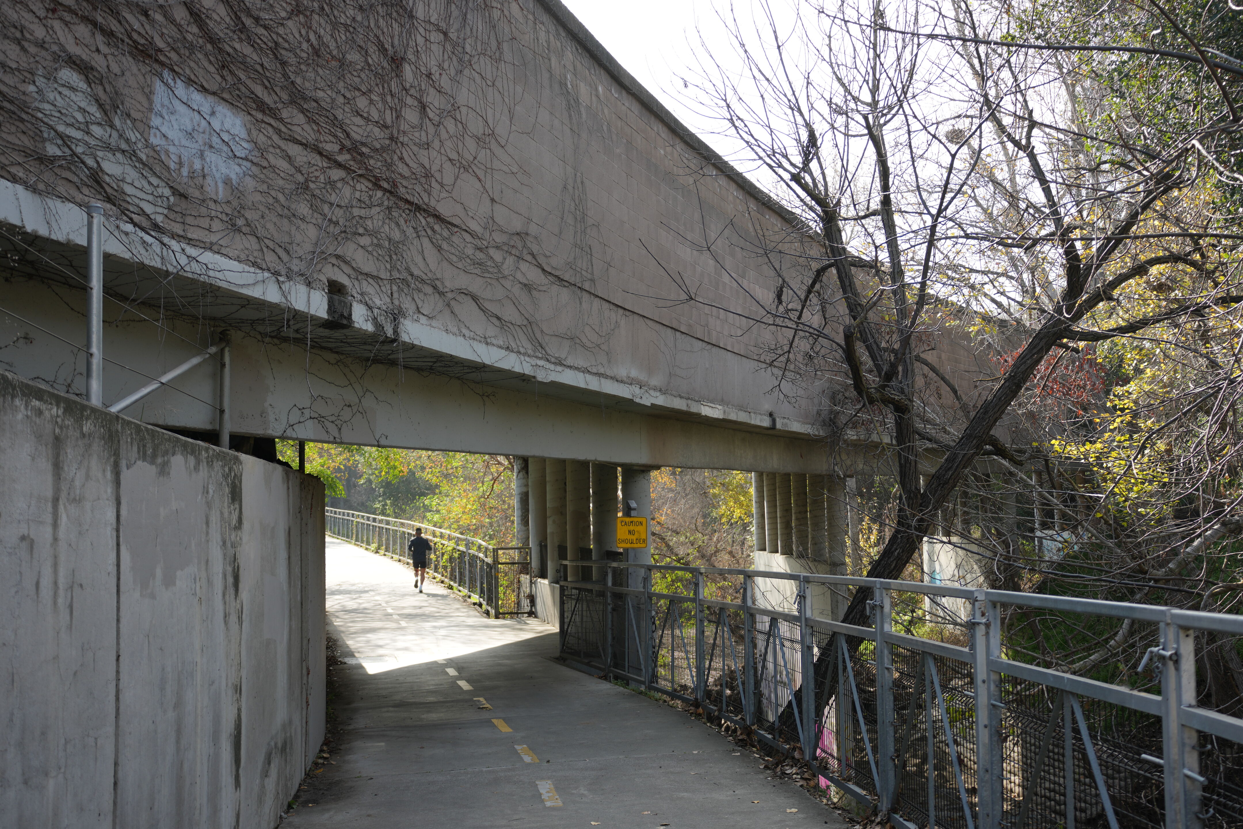 Mountain View Downtown