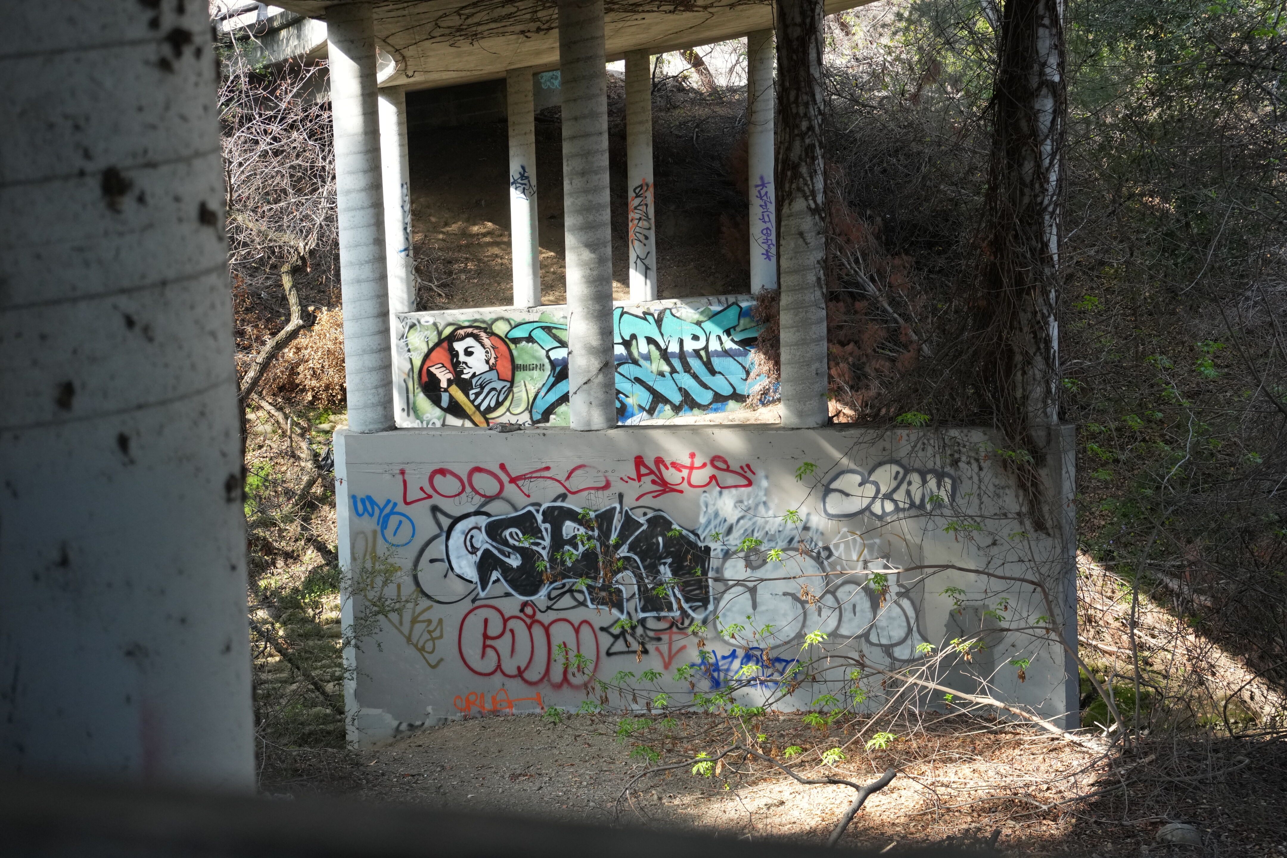 Mountain View Downtown