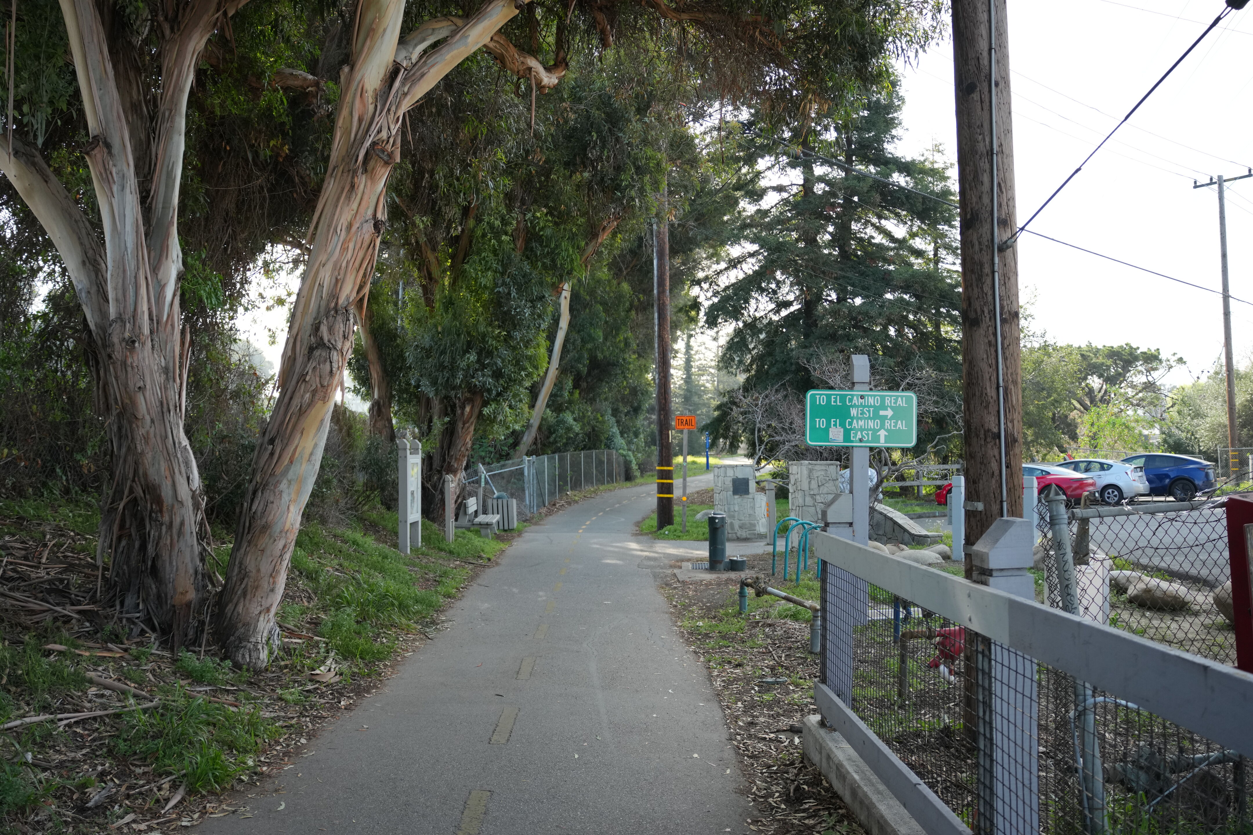 Mountain View Downtown