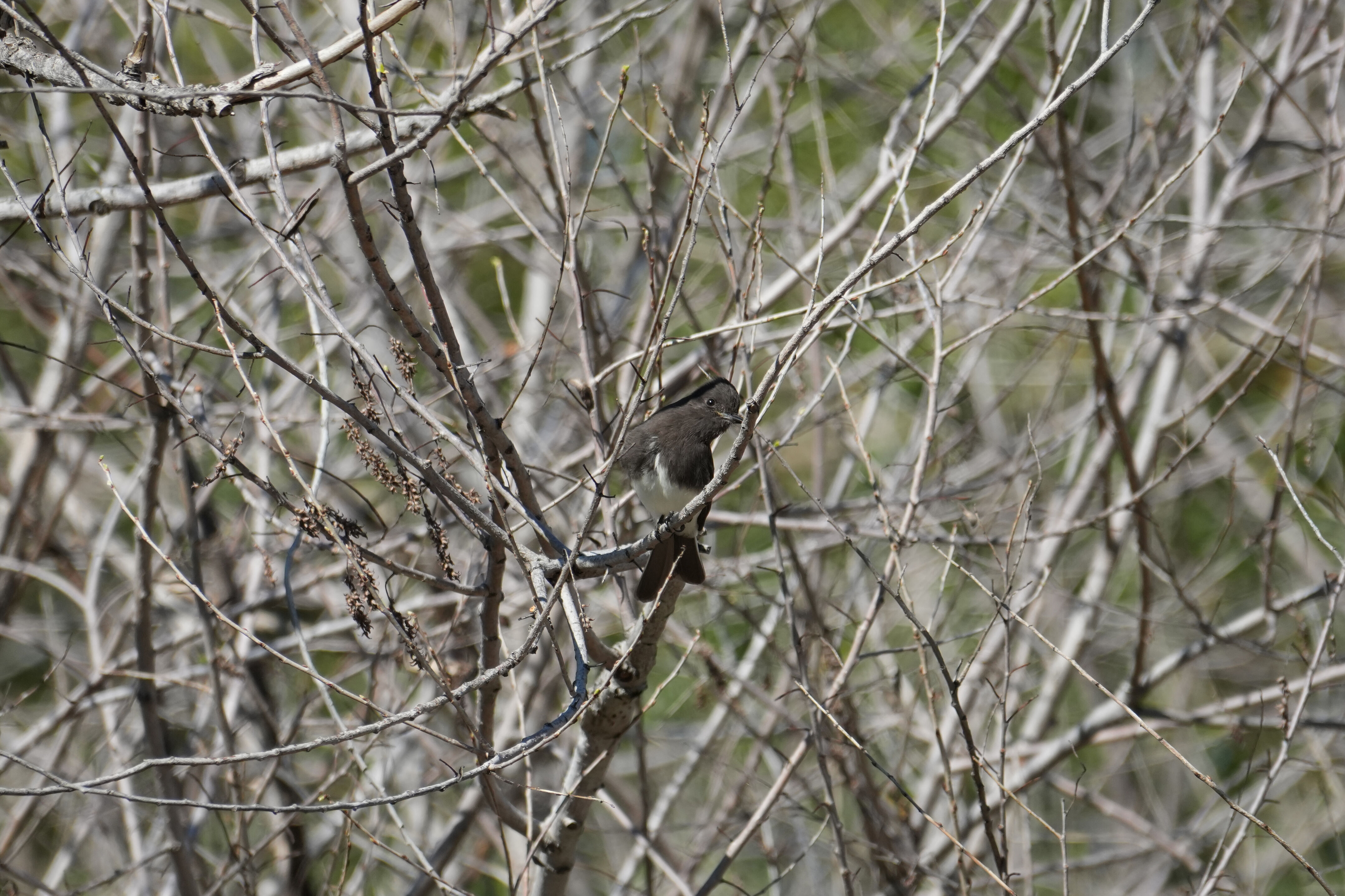 Marsh Creek Regional Trail