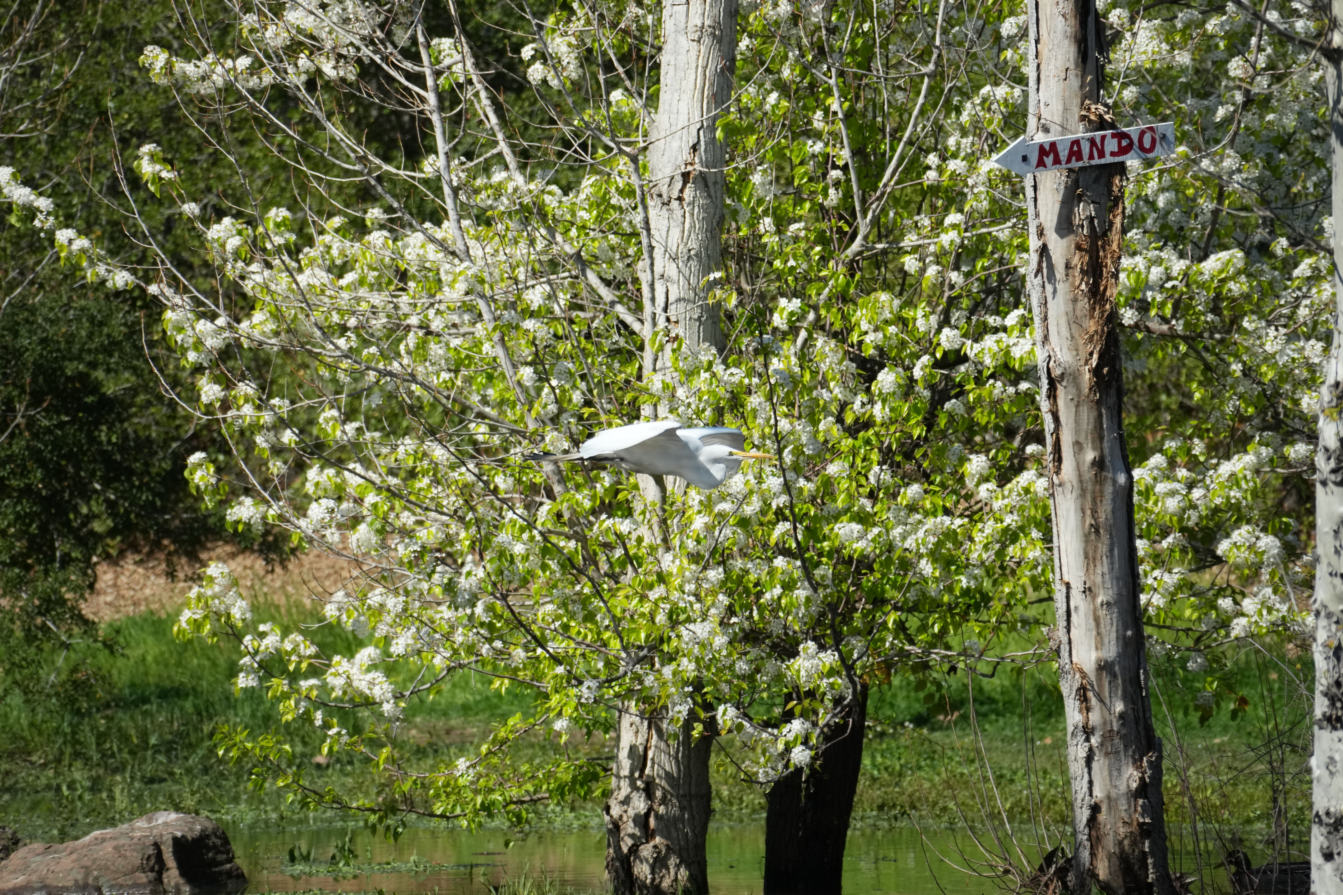 Marsh Creek Regional Trail