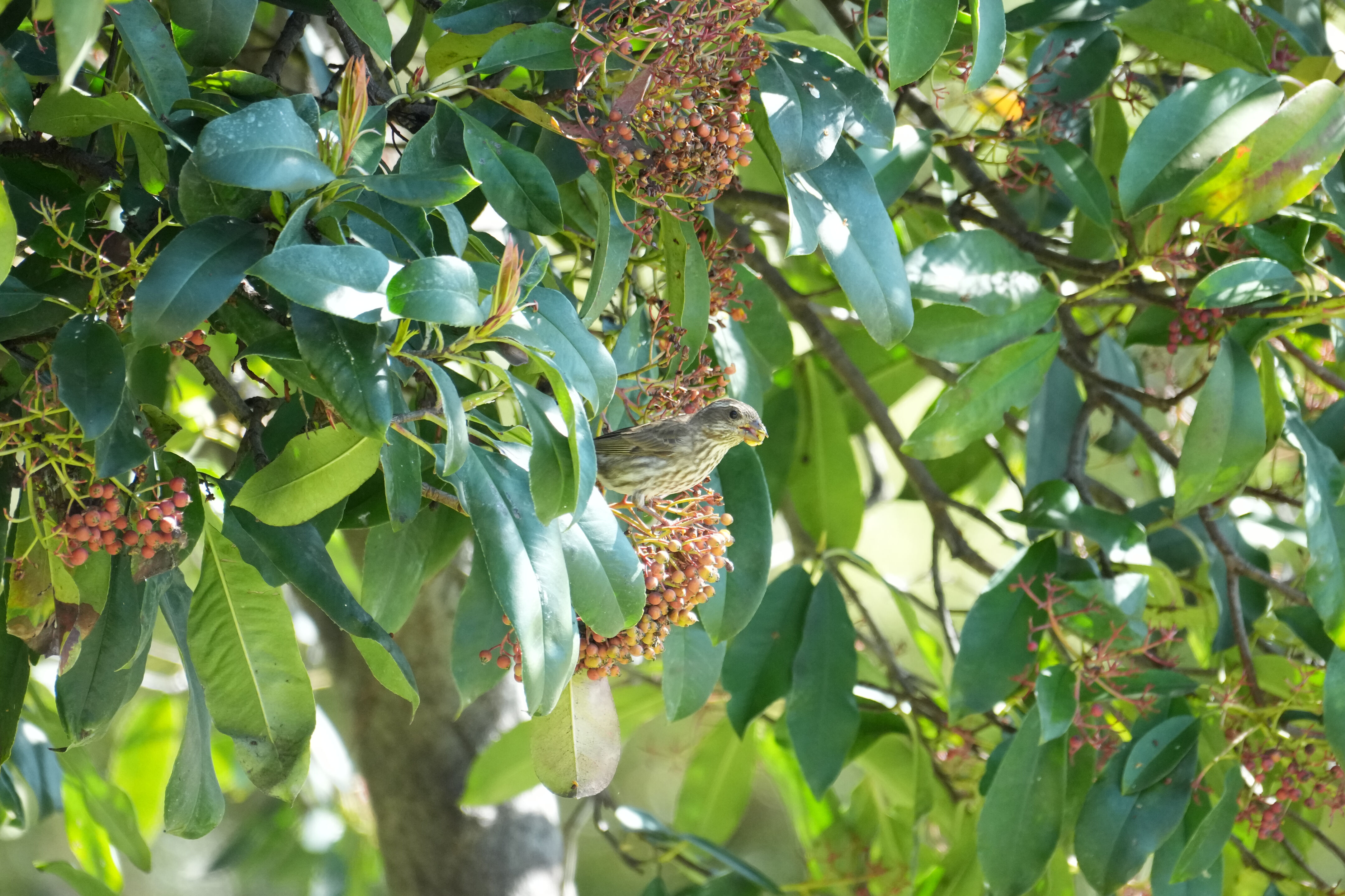 Marsh Creek Regional Trail