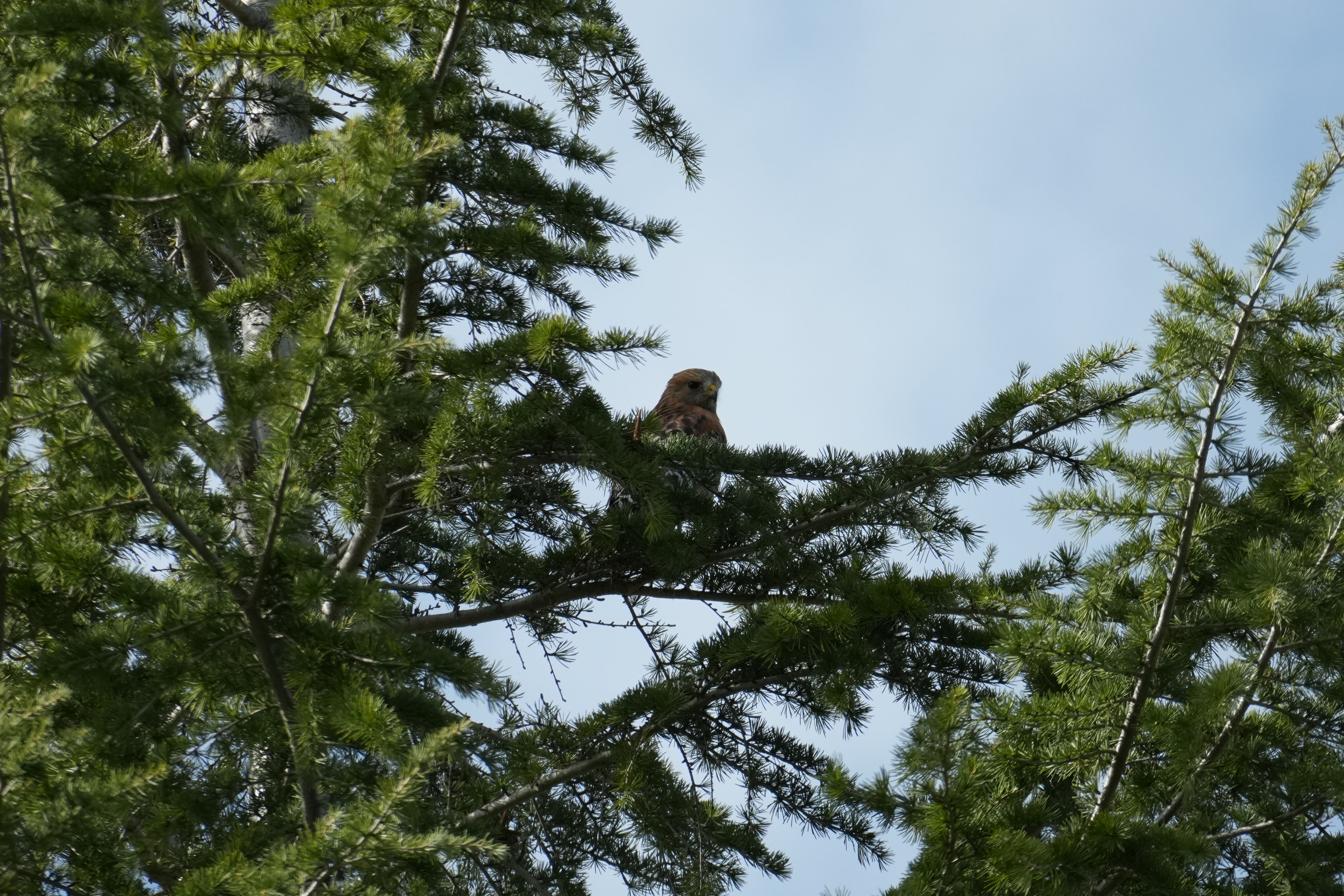 Marsh Creek Regional Trail
