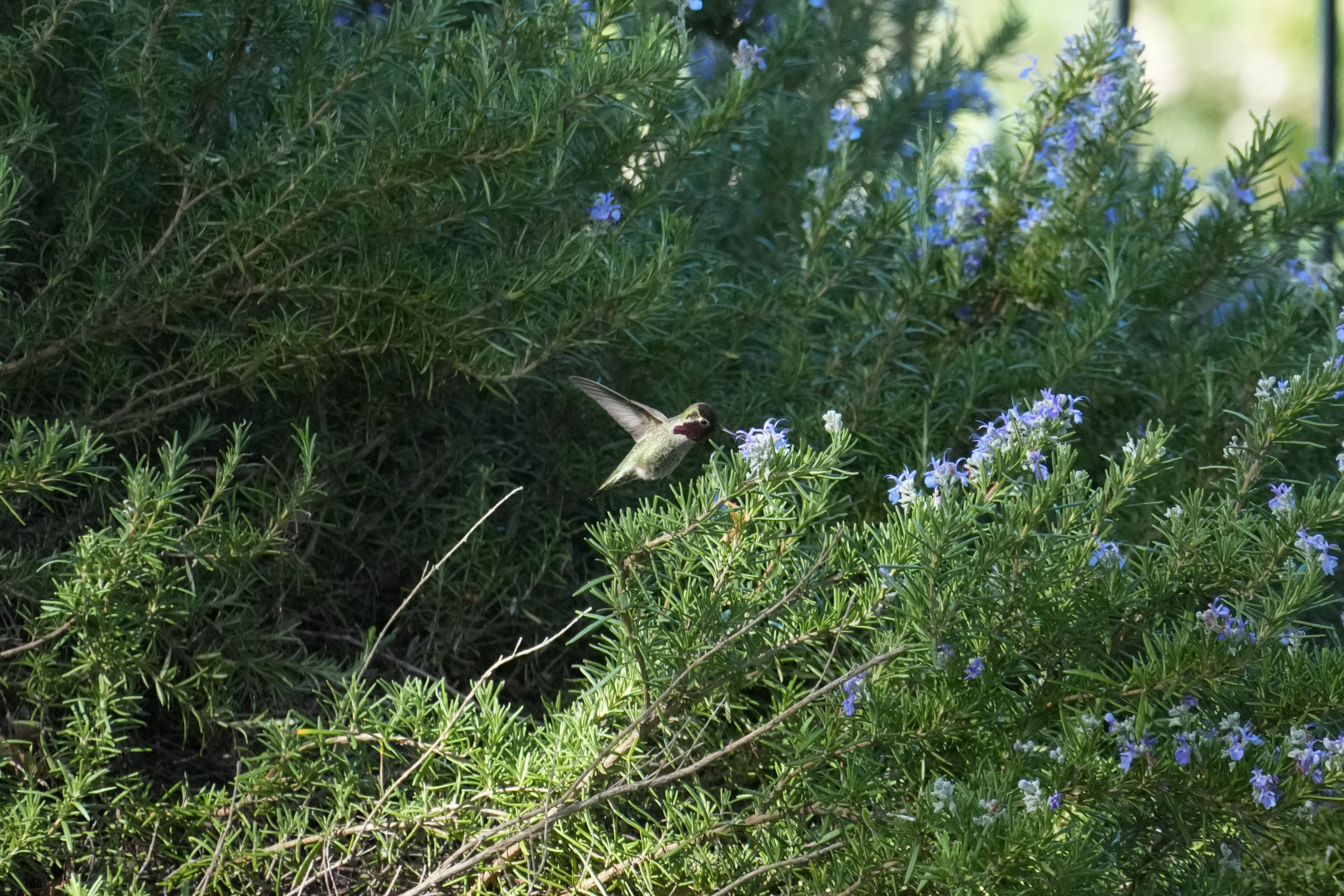 Marsh Creek Regional Trail