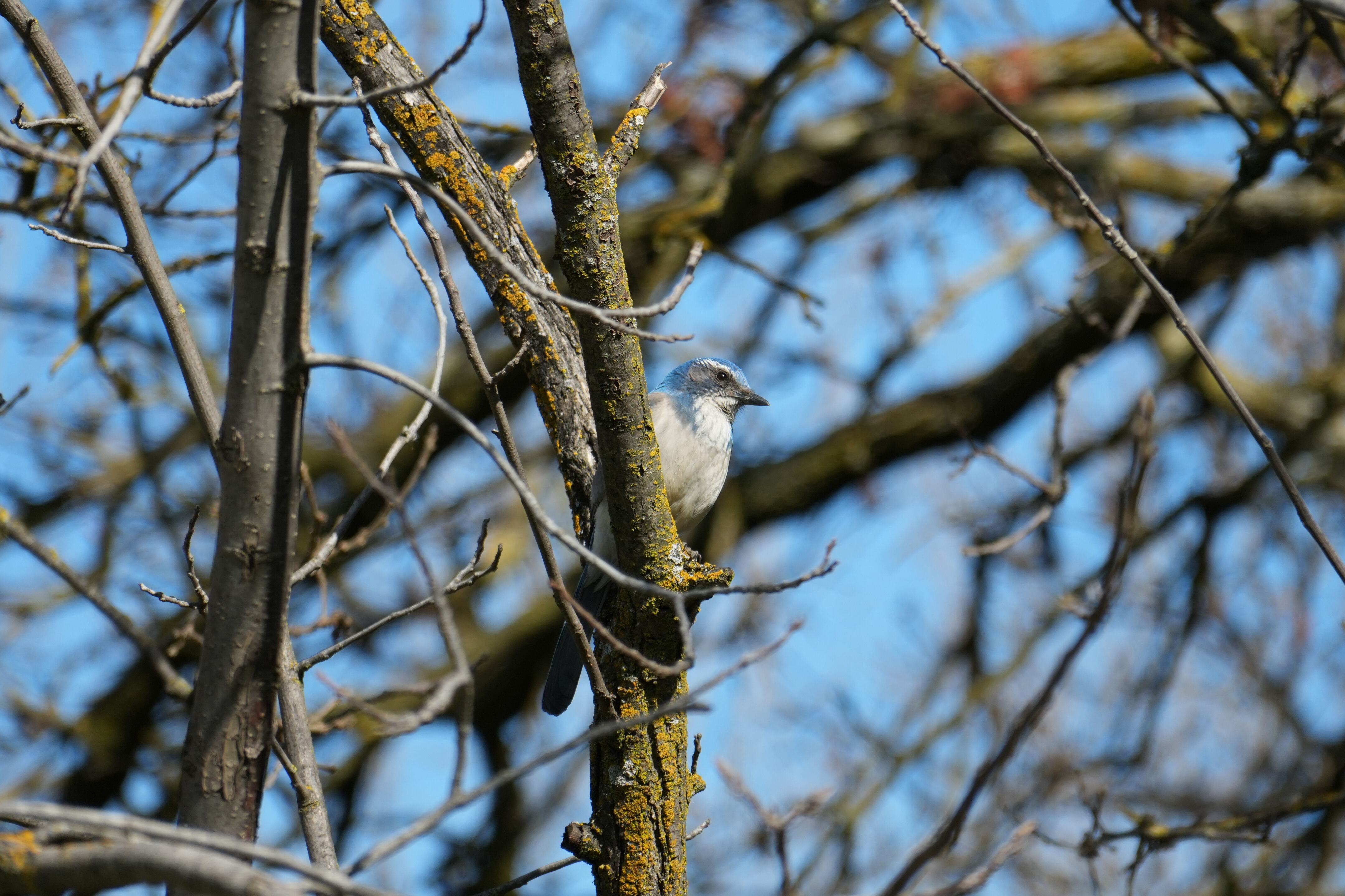 Marsh Creek Regional Trail