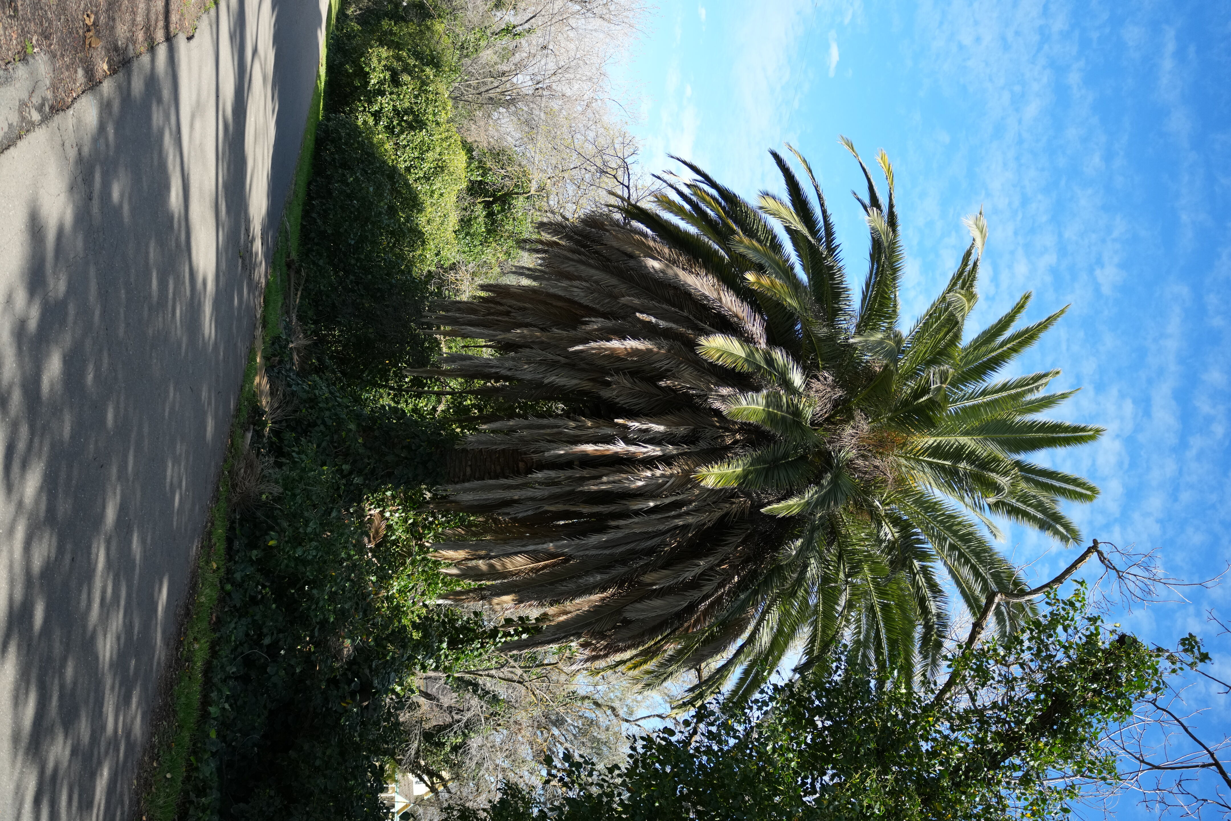 Marsh Creek Regional Trail