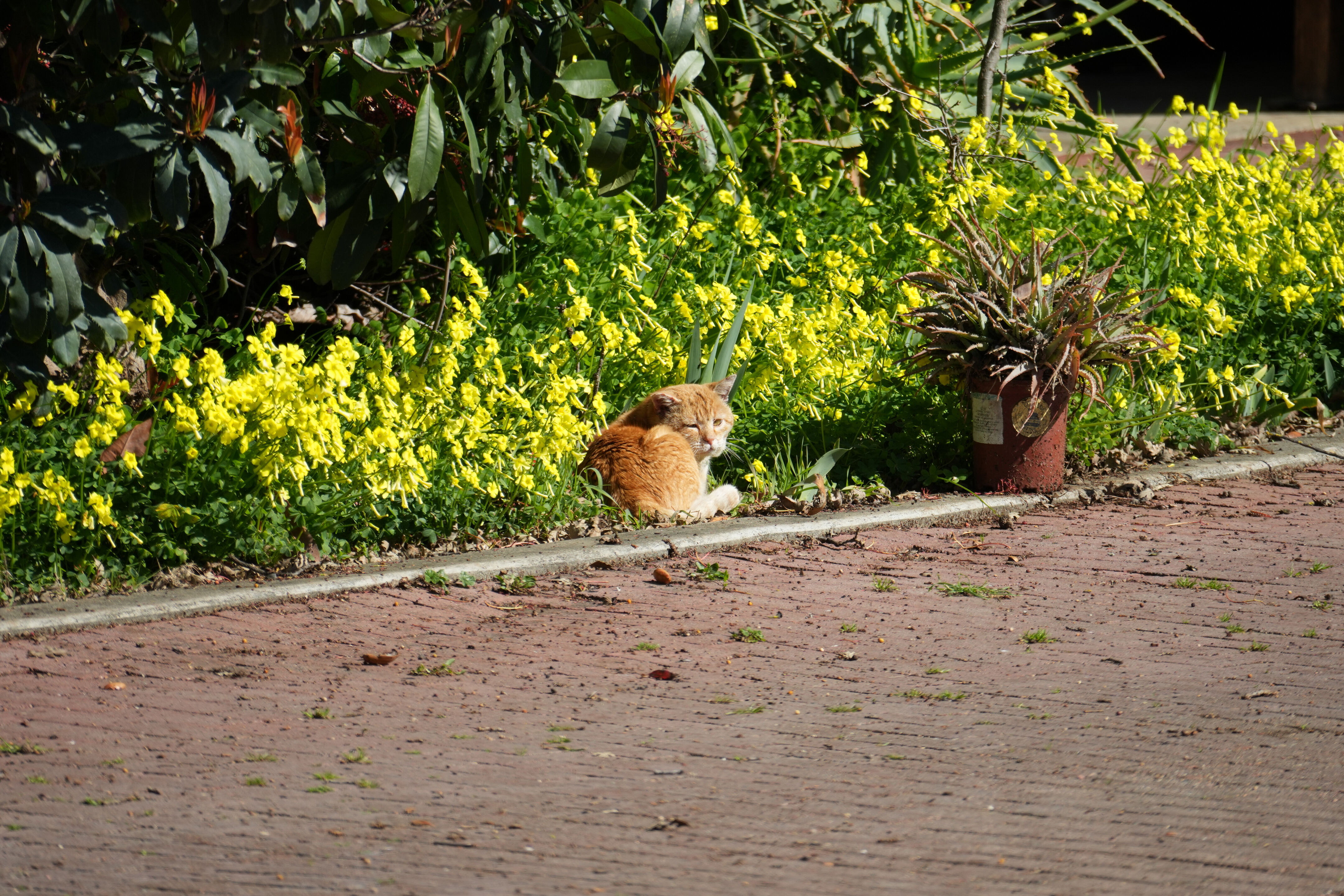 Marsh Creek Regional Trail