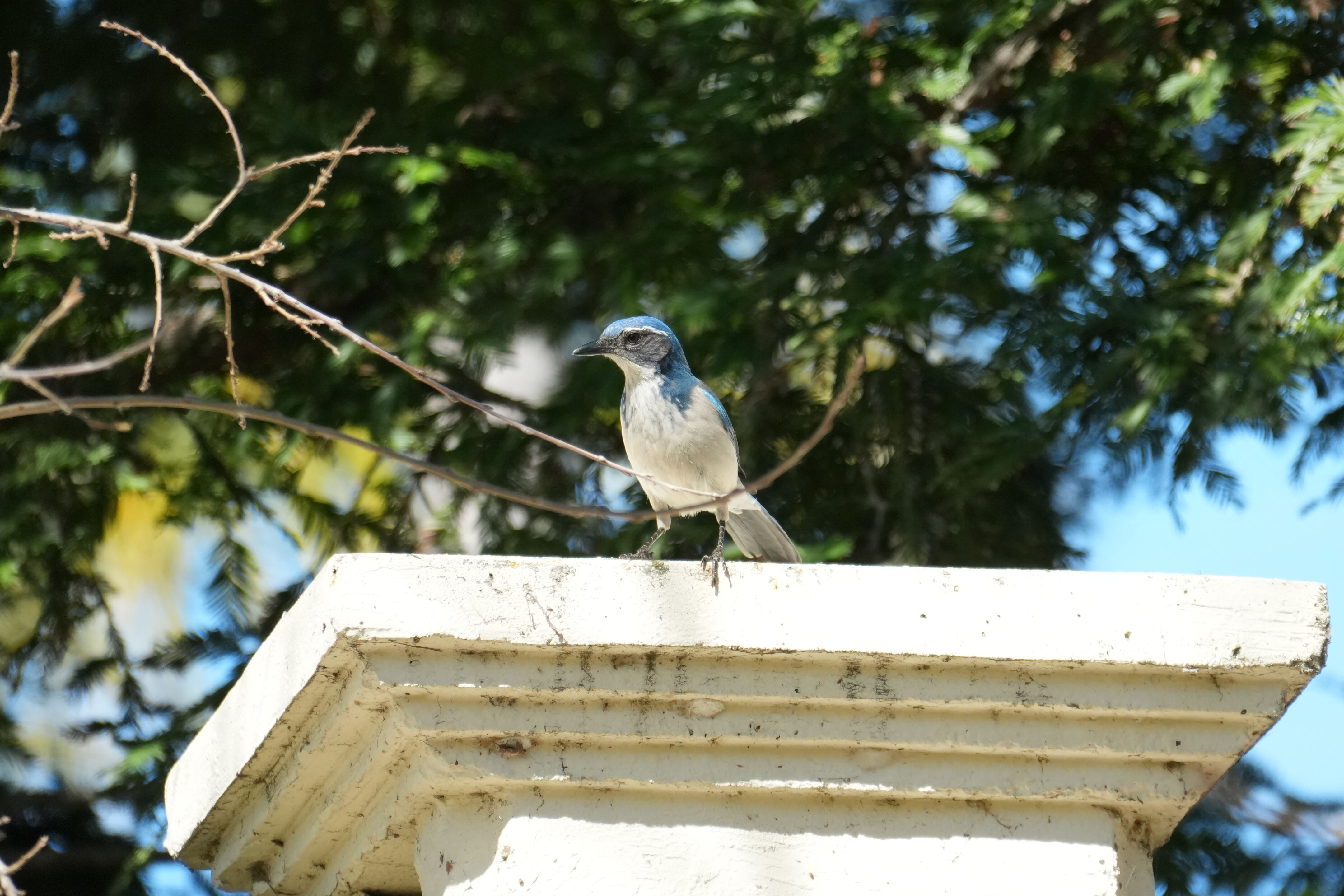 Marsh Creek Regional Trail