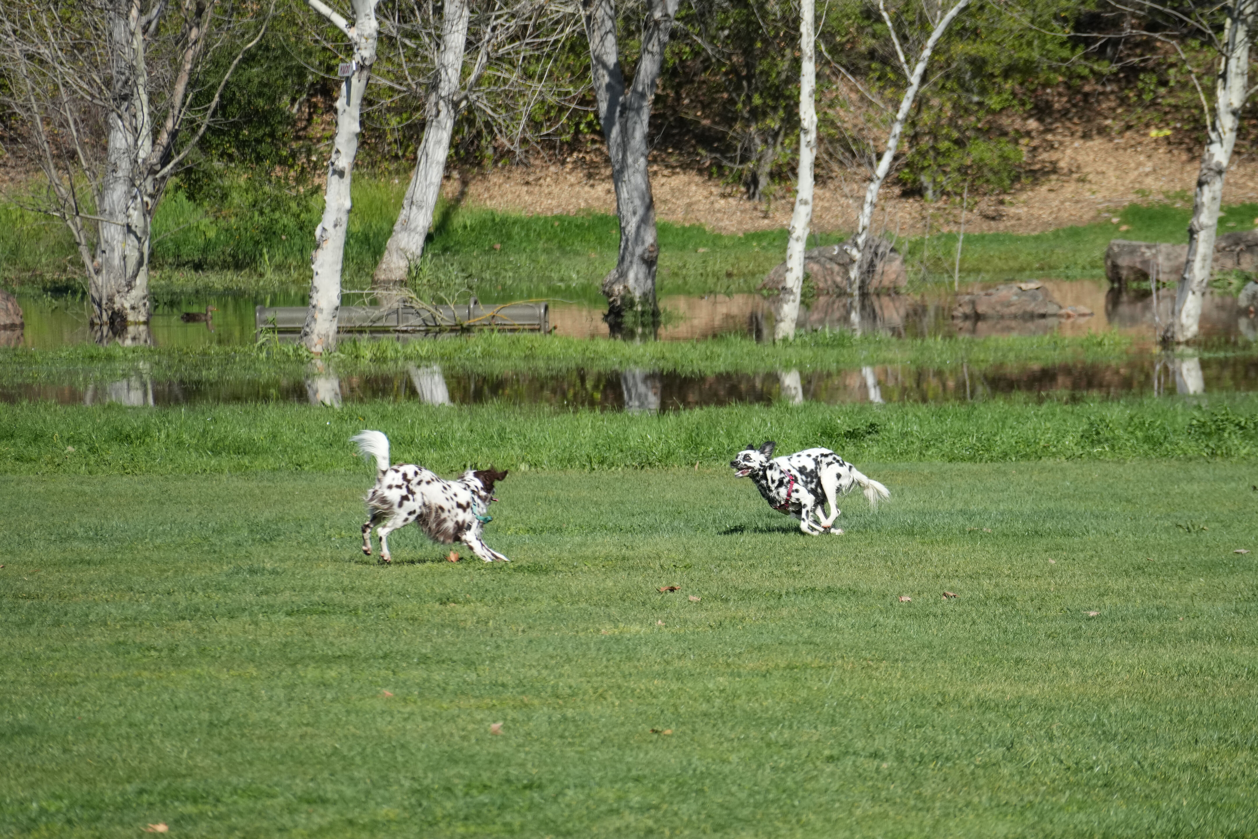 Marsh Creek Regional Trail