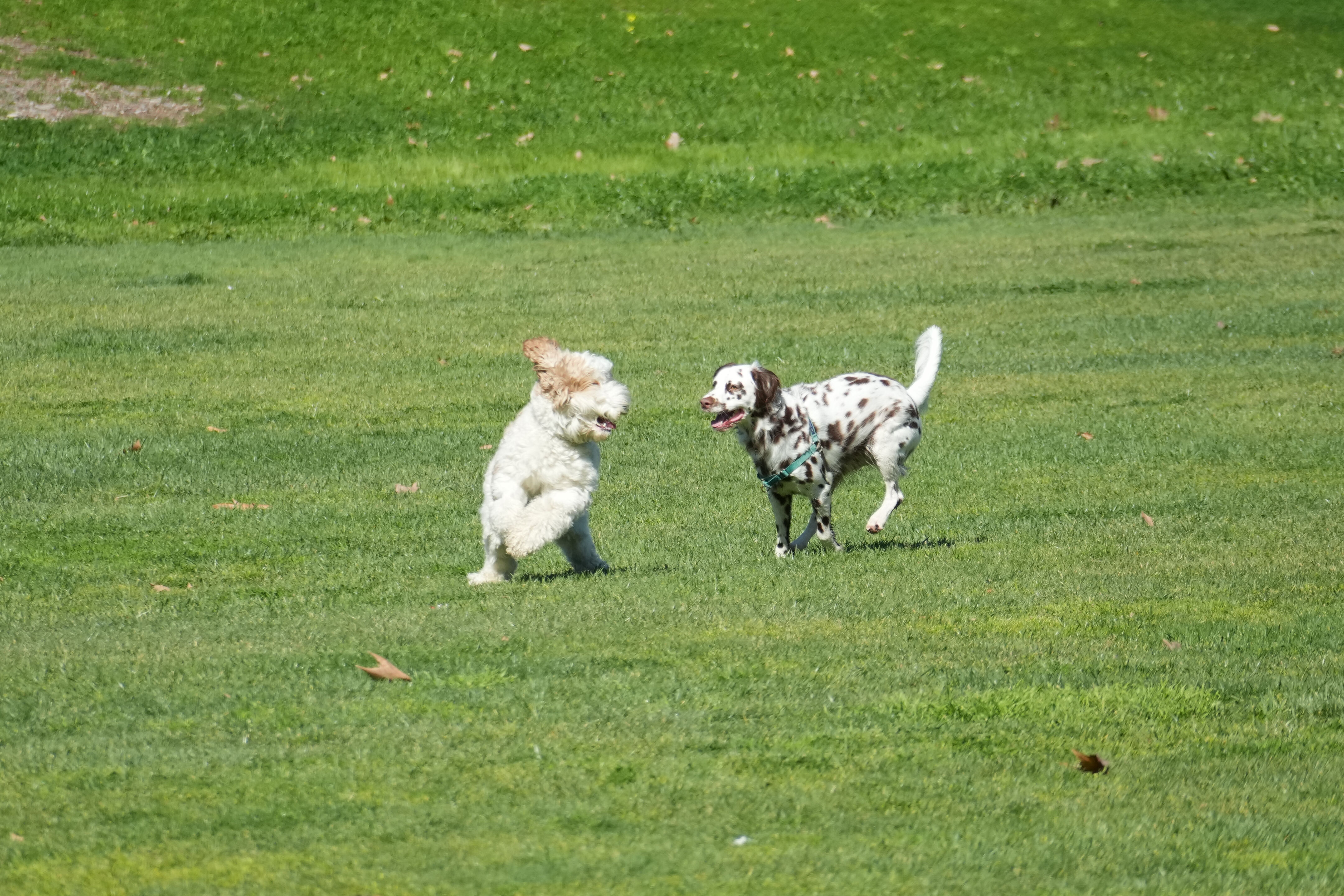 Marsh Creek Regional Trail