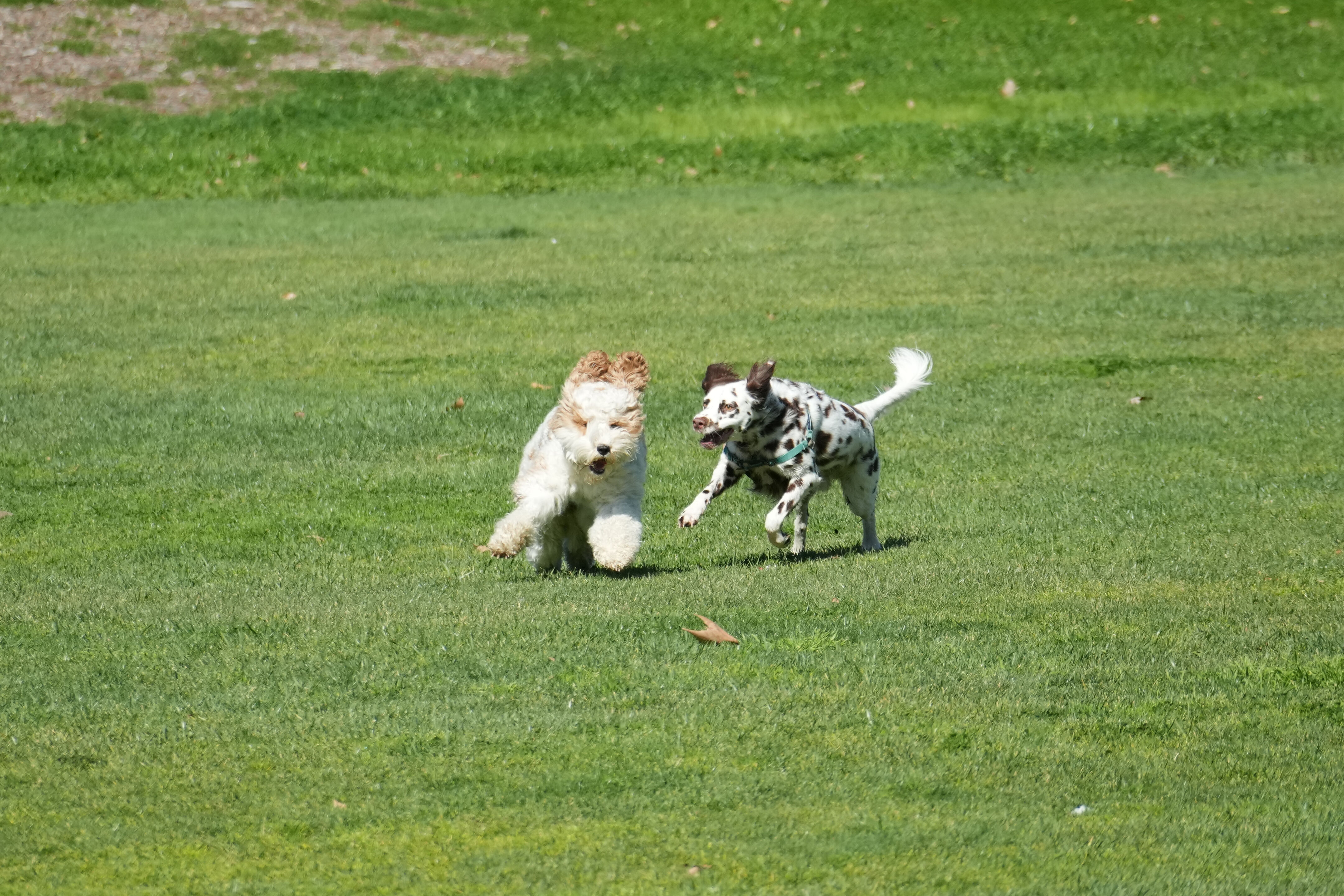Marsh Creek Regional Trail