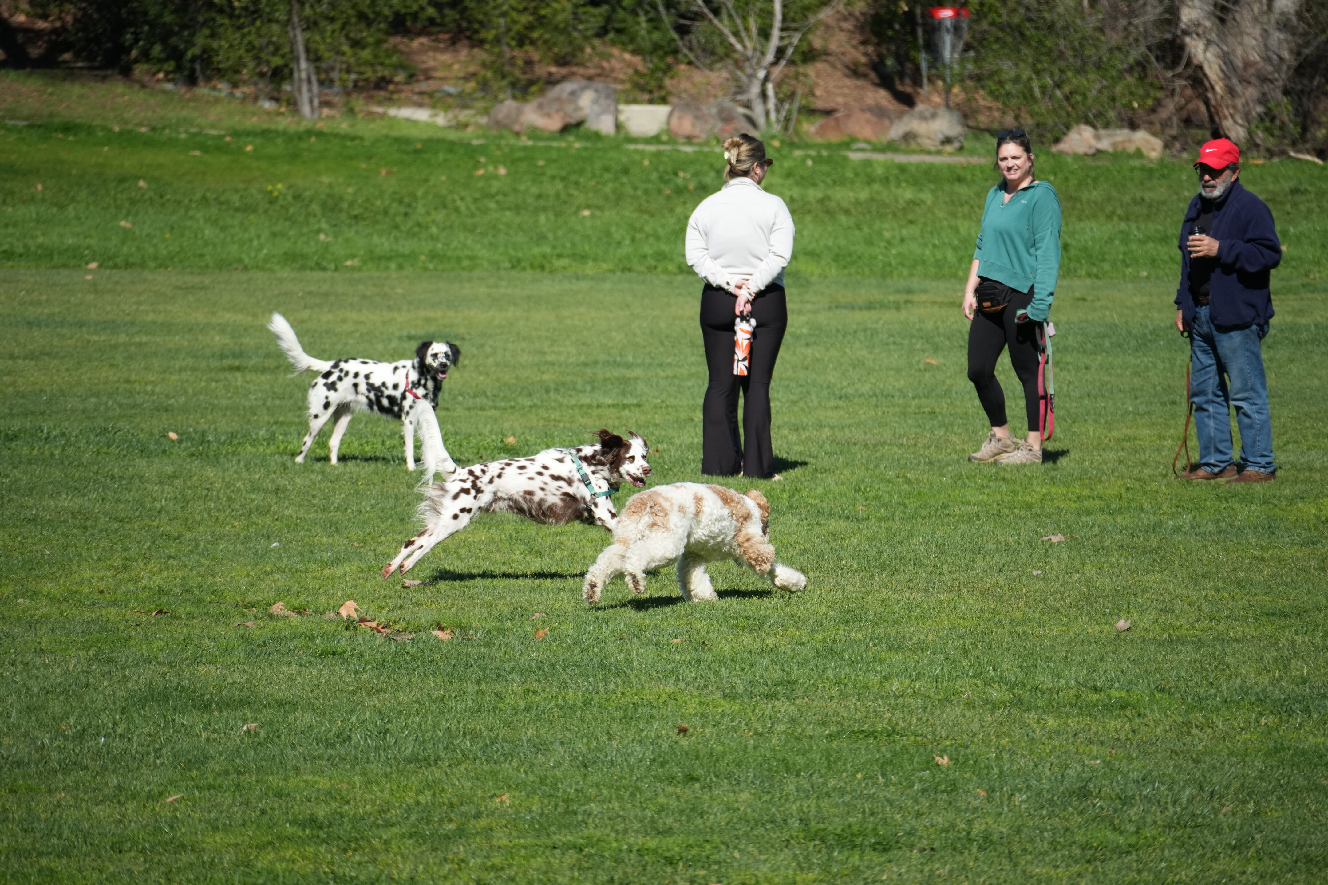 Marsh Creek Regional Trail