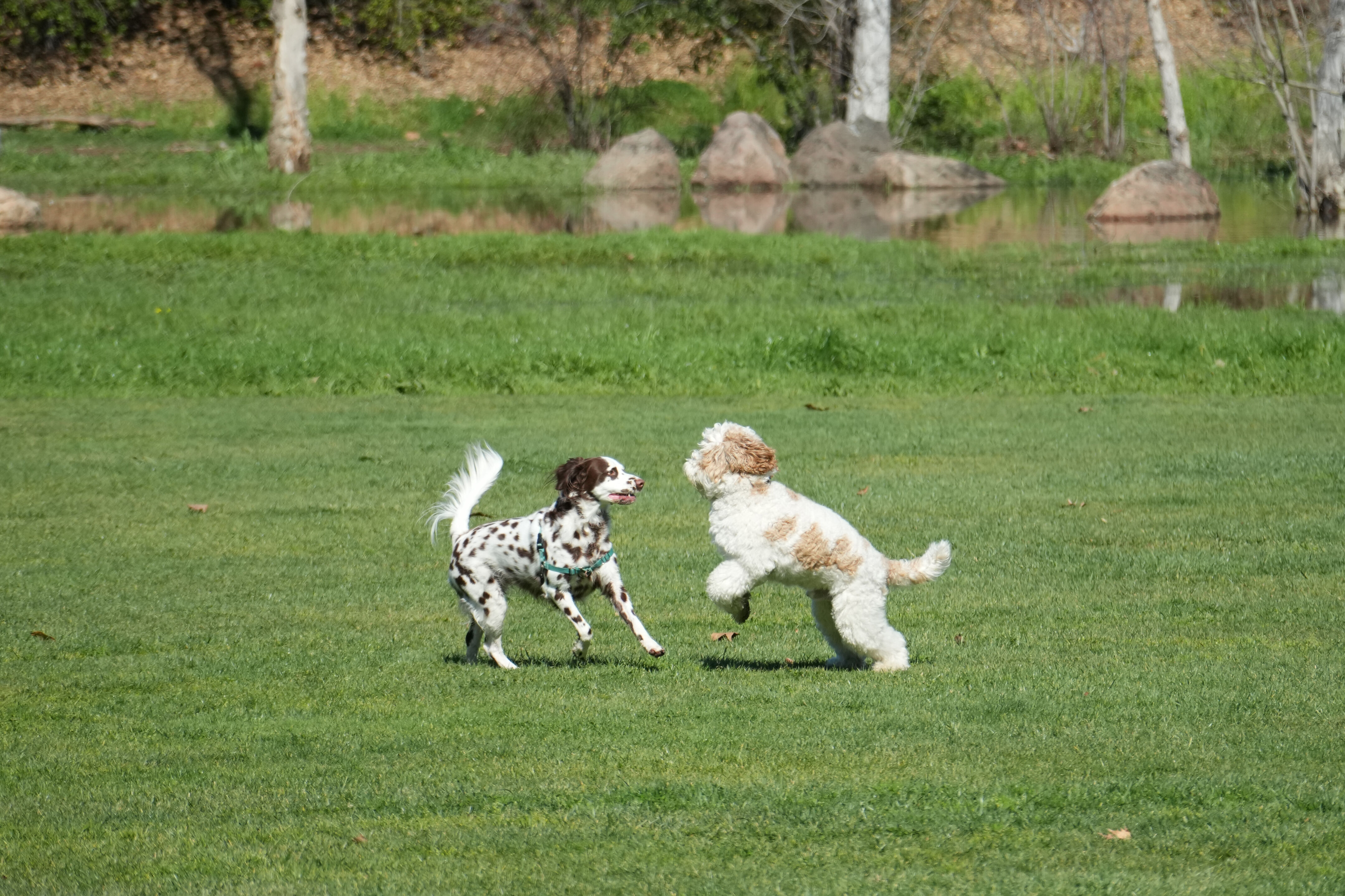 Marsh Creek Regional Trail