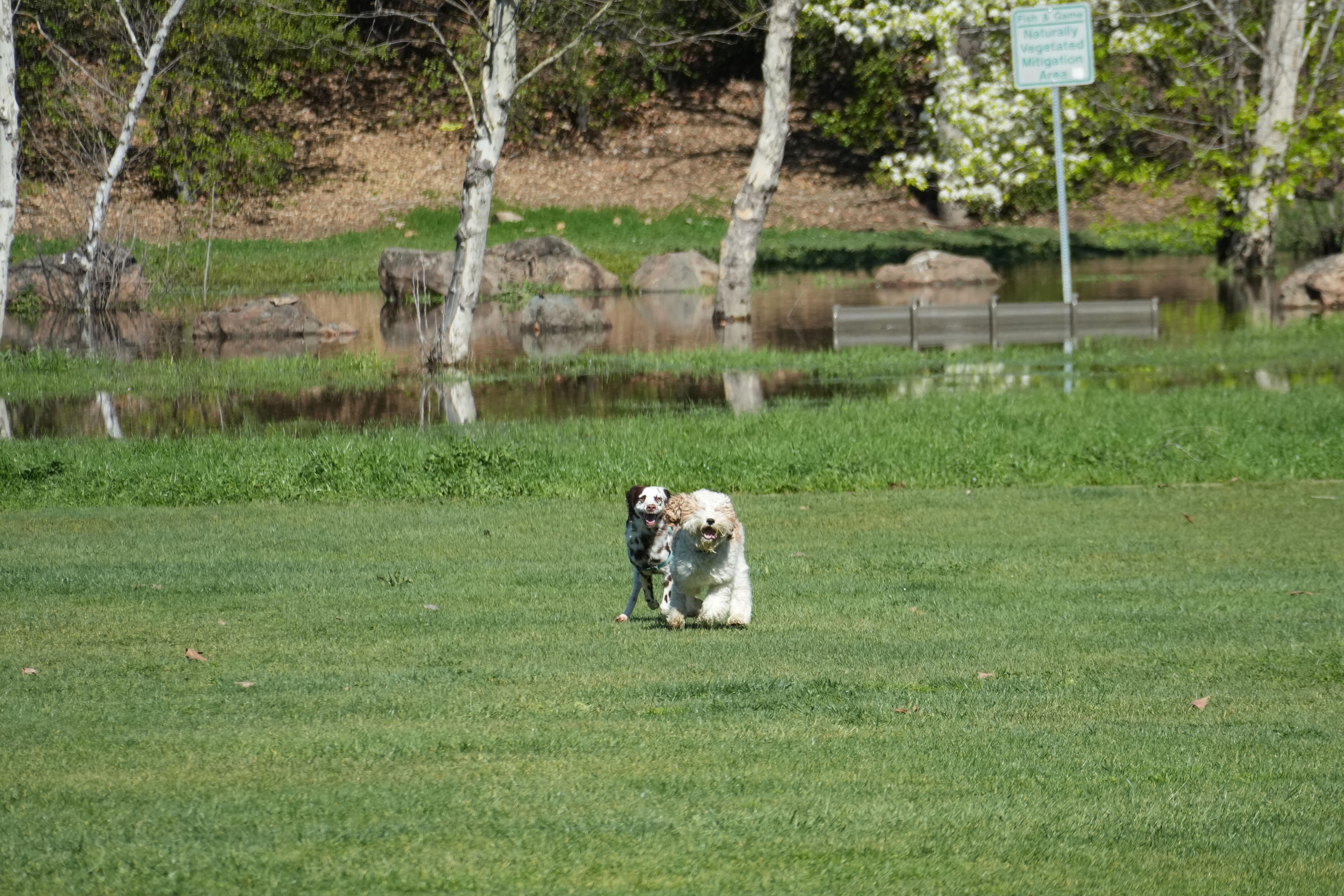 Marsh Creek Regional Trail