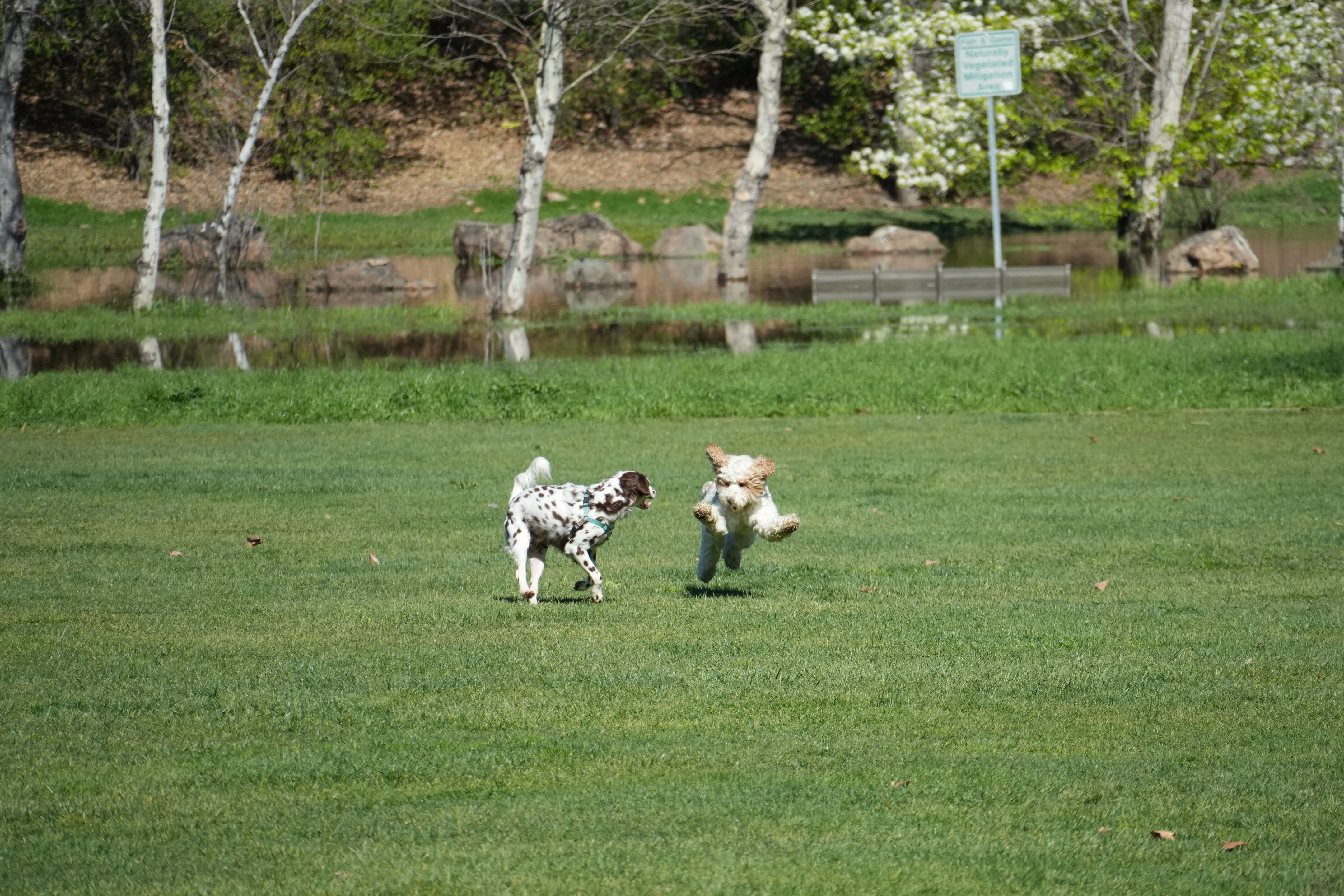 Marsh Creek Regional Trail