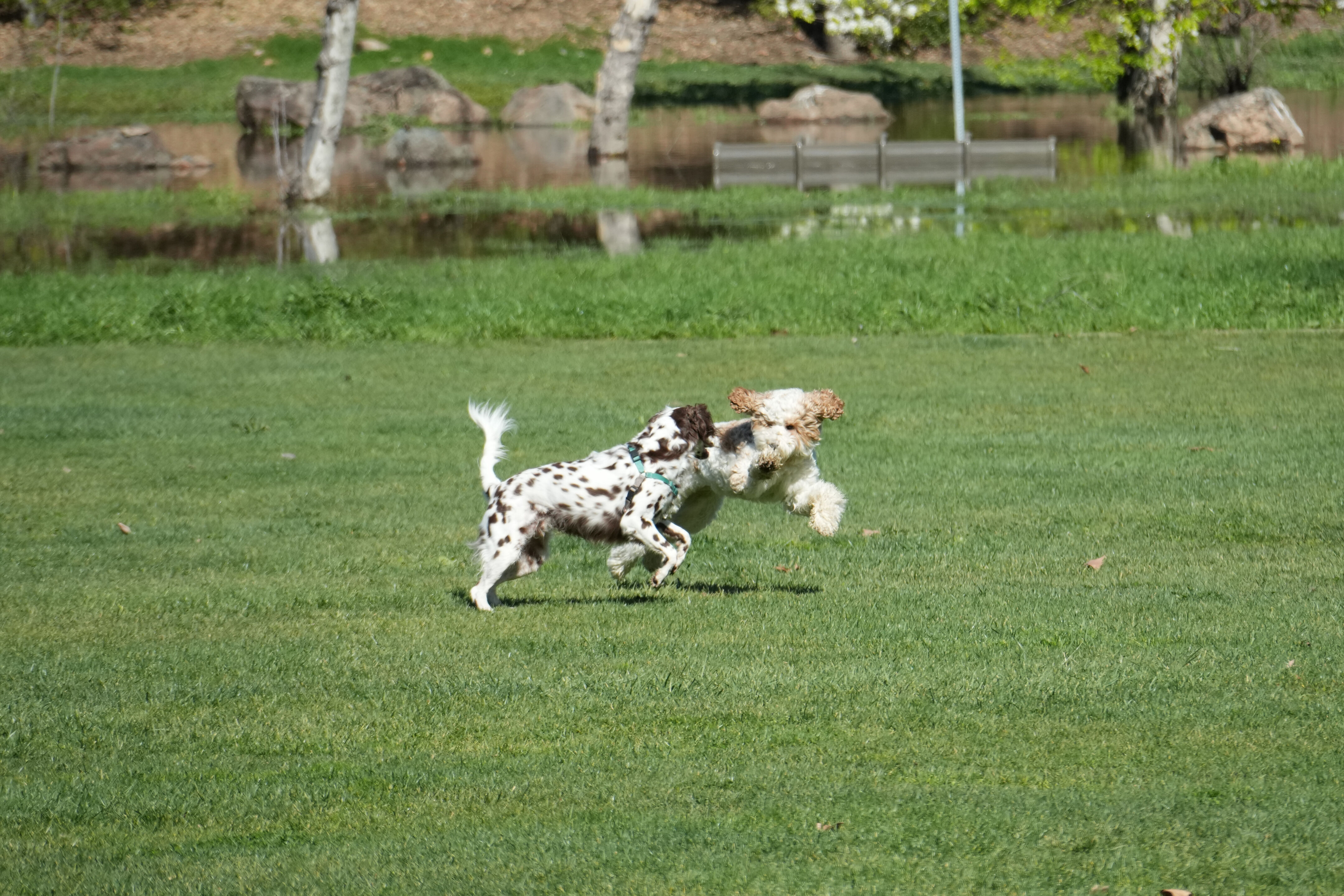 Marsh Creek Regional Trail