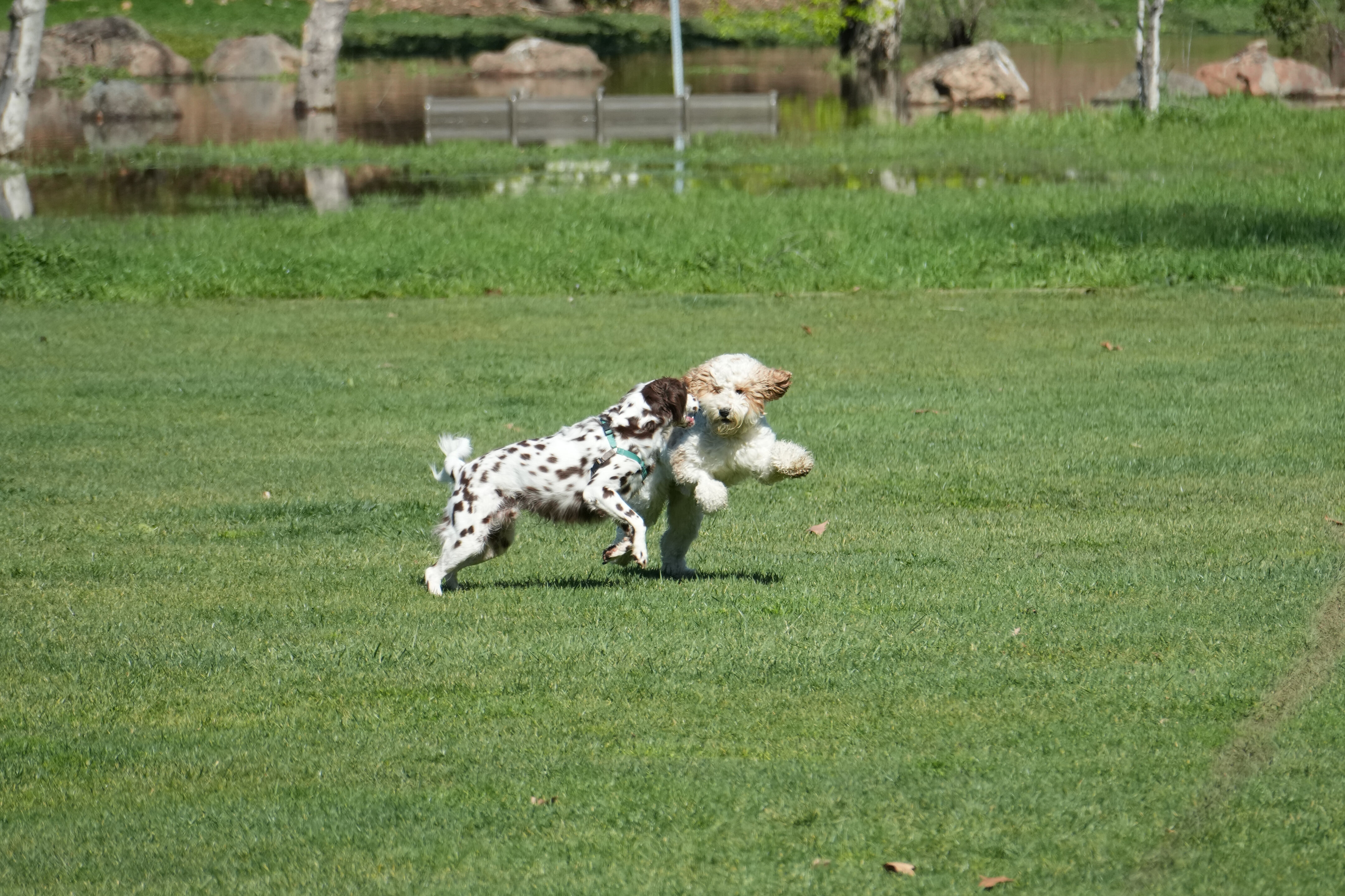 Marsh Creek Regional Trail