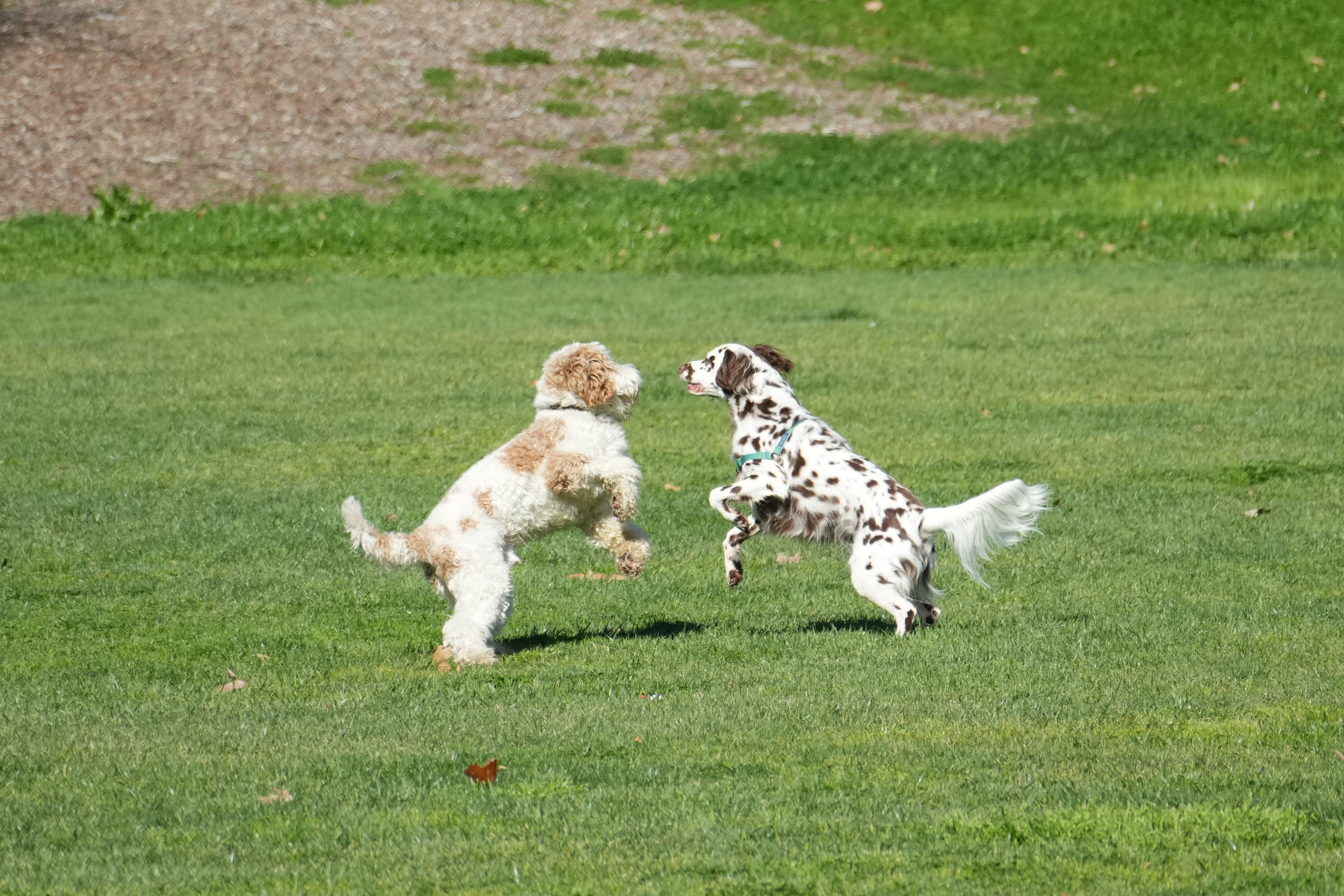 Marsh Creek Regional Trail