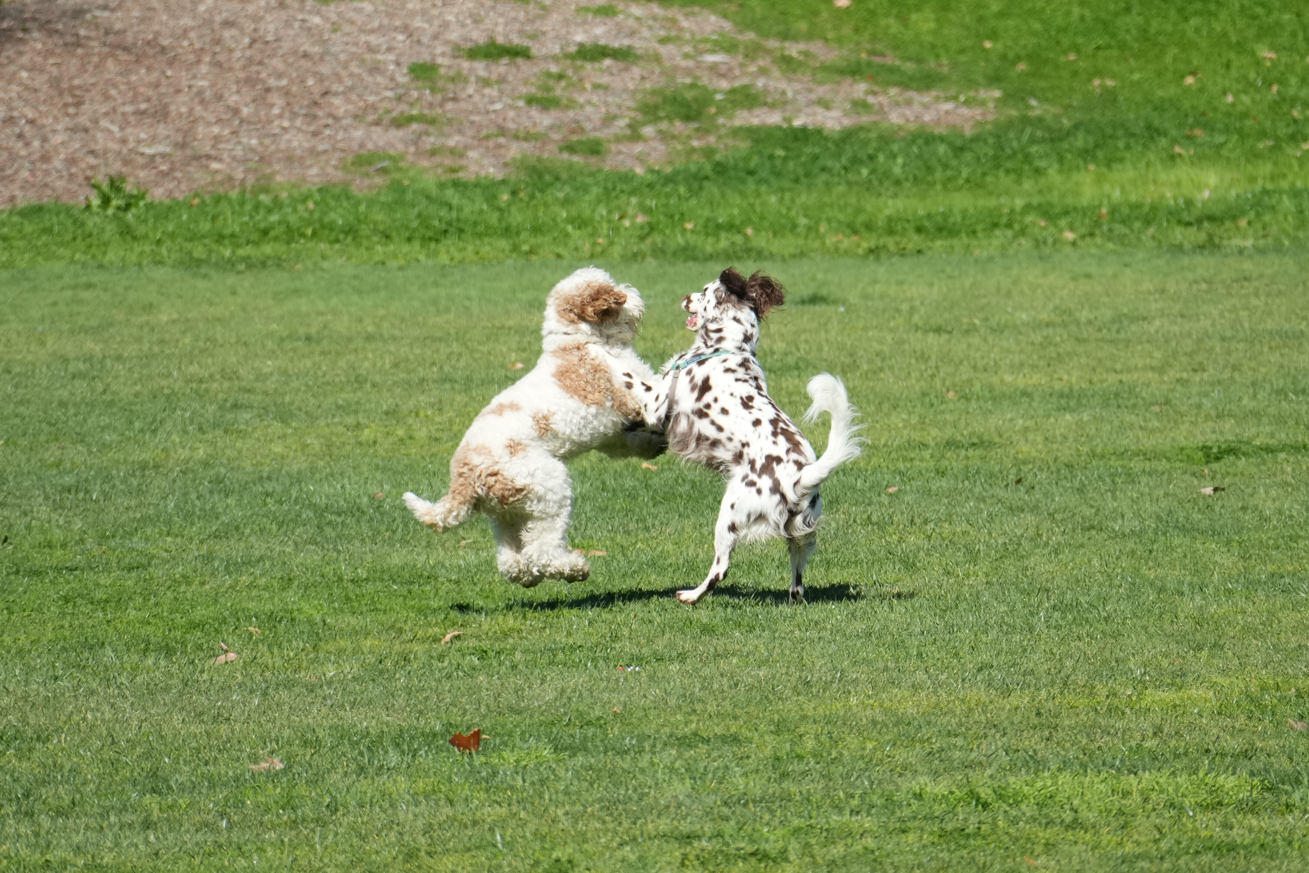 Marsh Creek Regional Trail