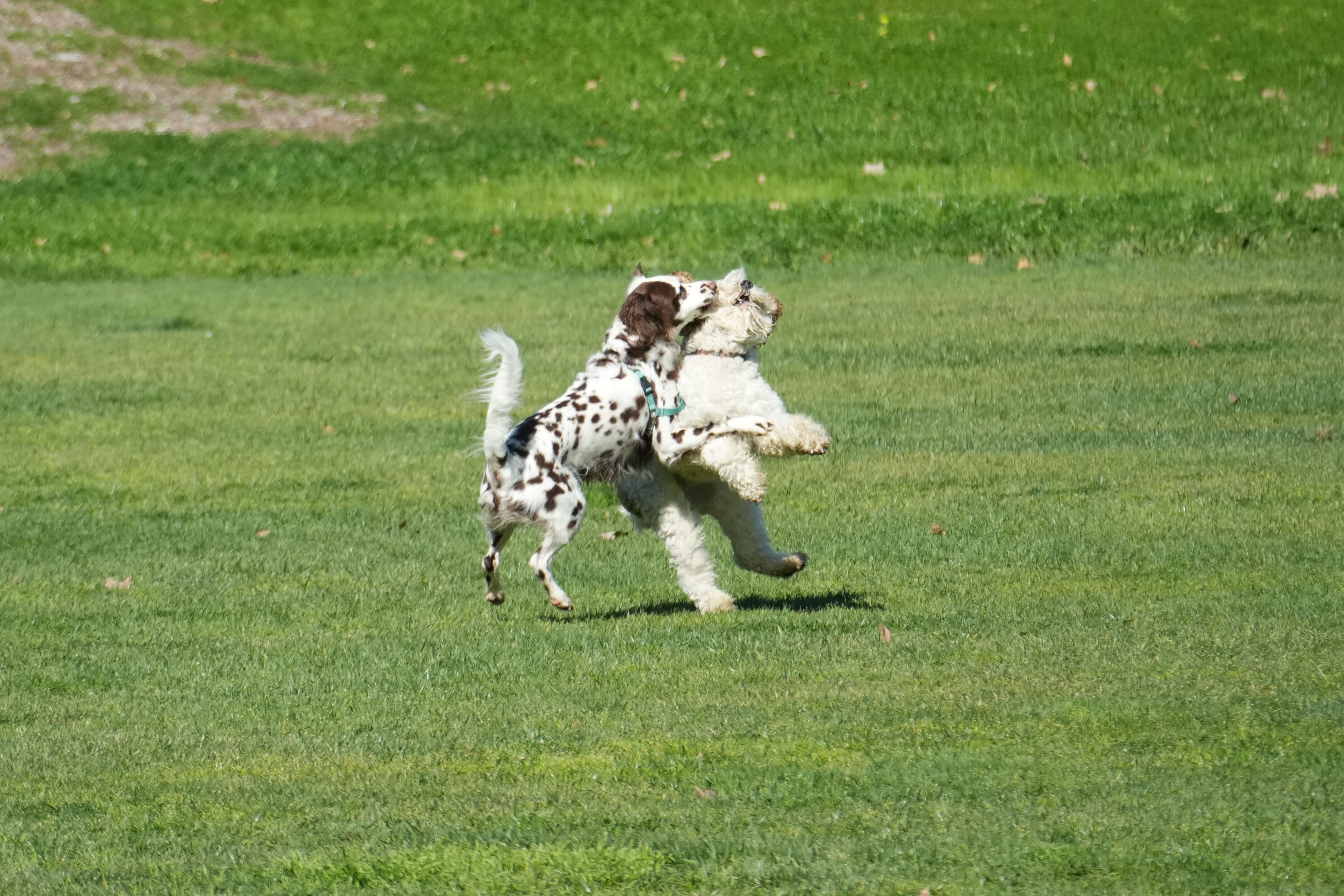 Marsh Creek Regional Trail