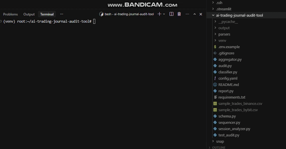 Audit demo — live console output