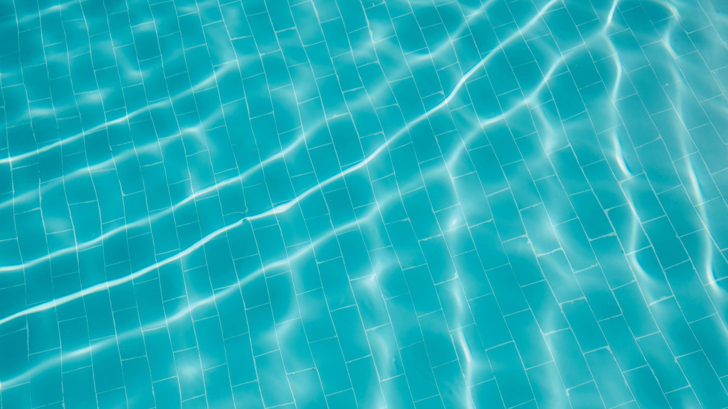 "Explainable Management" Powered by Cryptographic Proofs