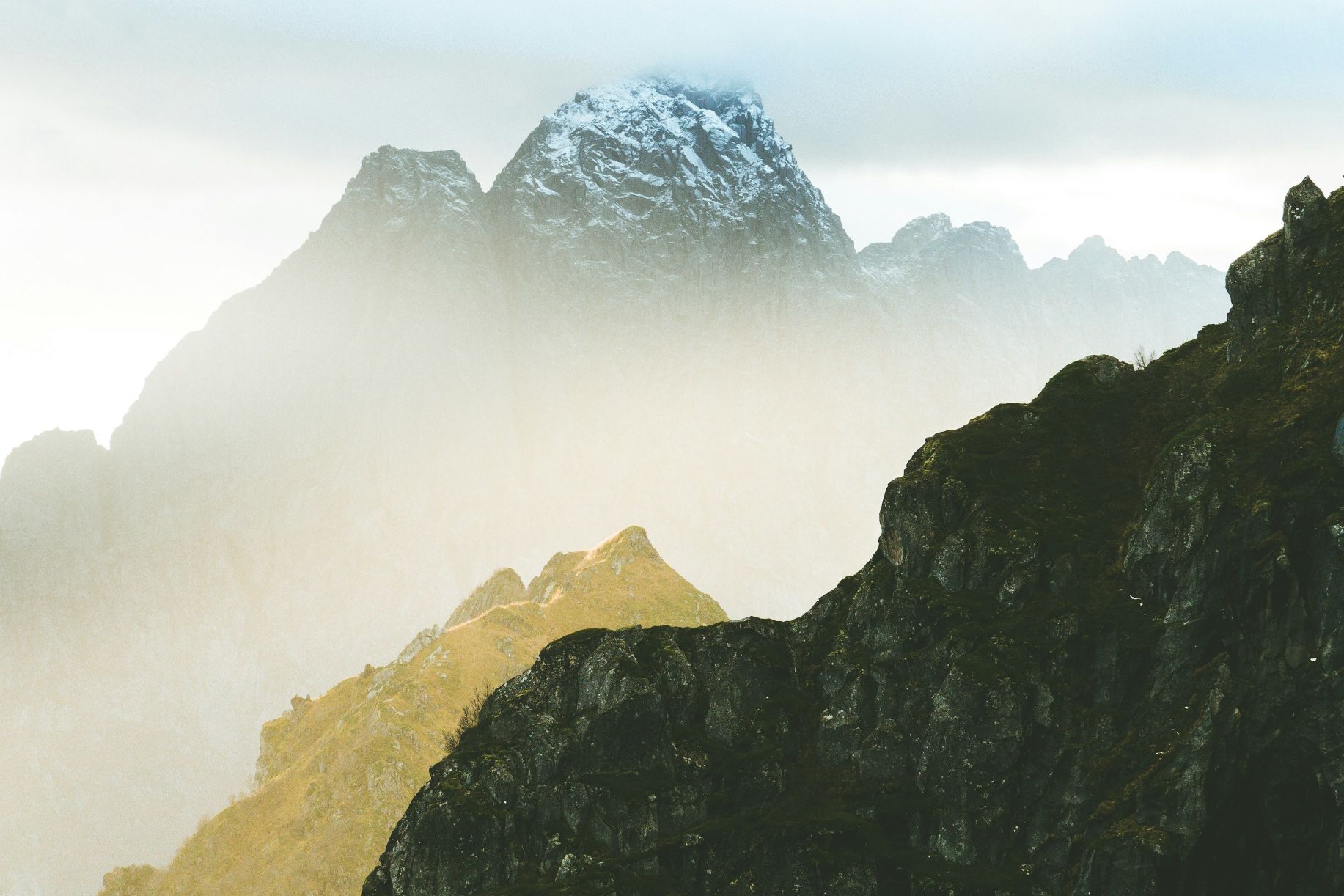 Verified Attributes in Travel and Public Services