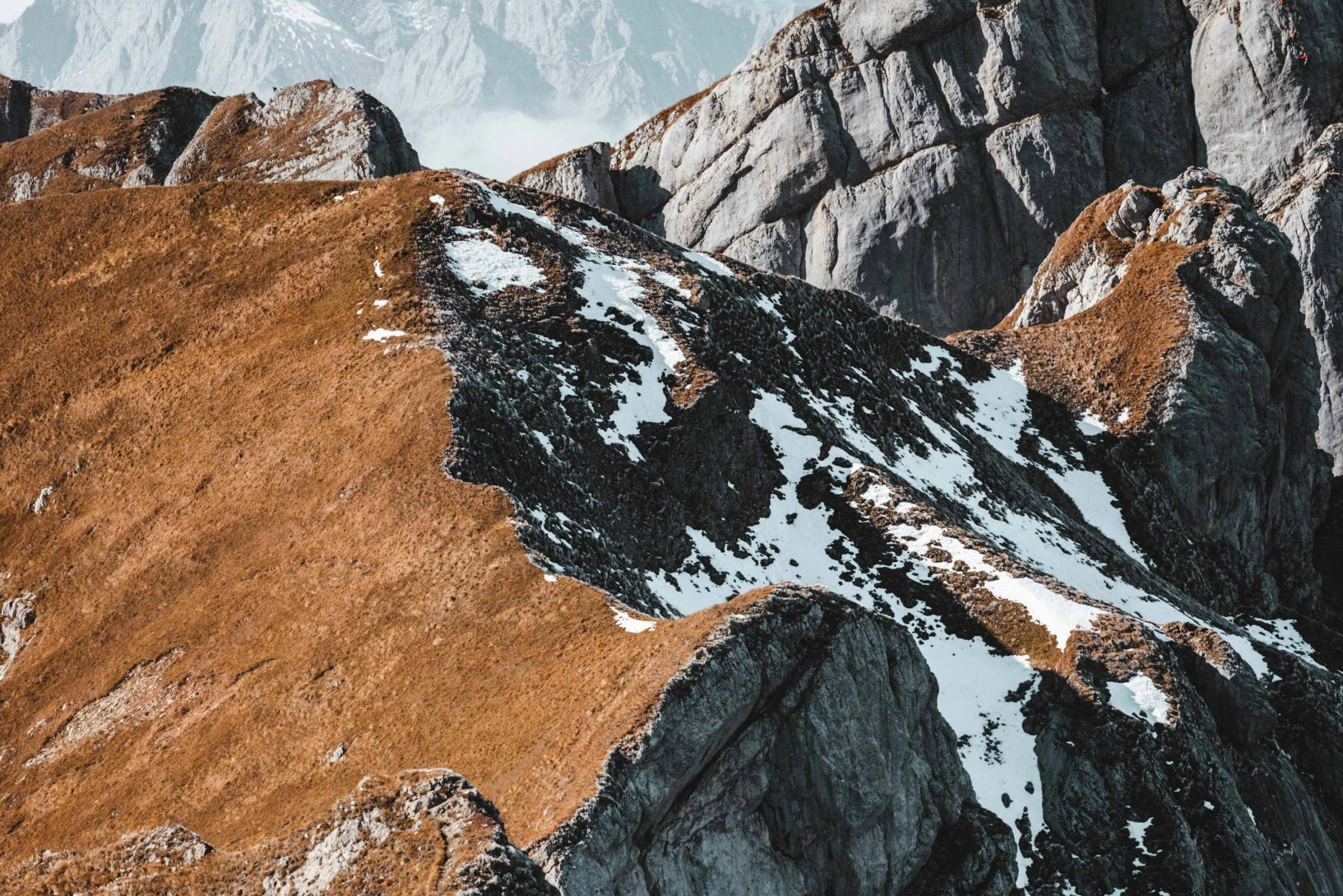 データ共有から検証共有へ：サプライチェーン信頼基盤の進化