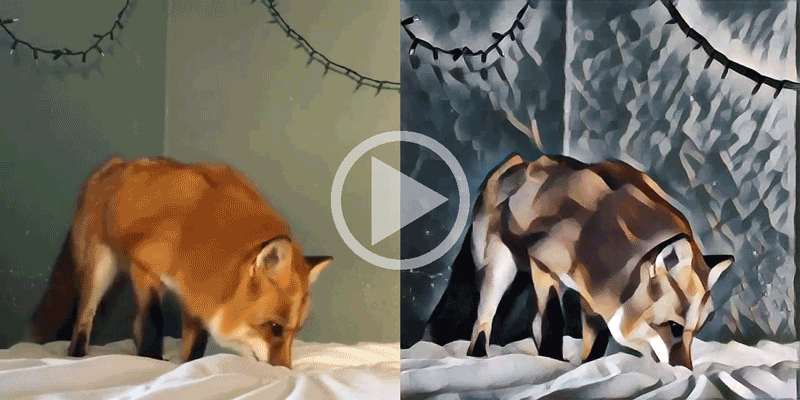 Stylized fox video. Click to go to YouTube!