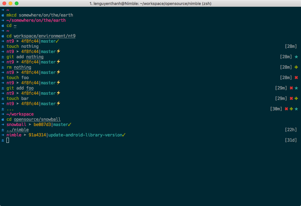 Oh my zsh themes best