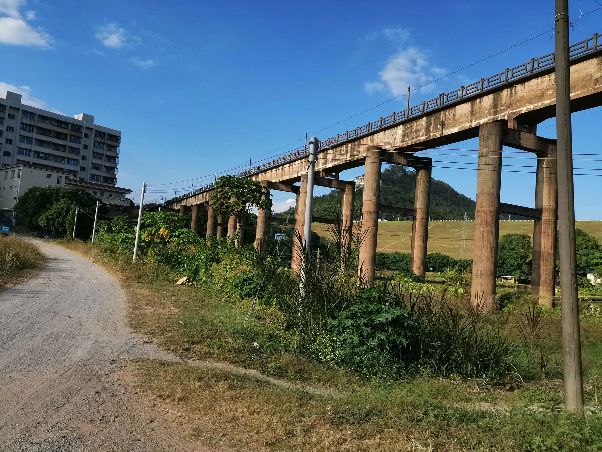沿途风光