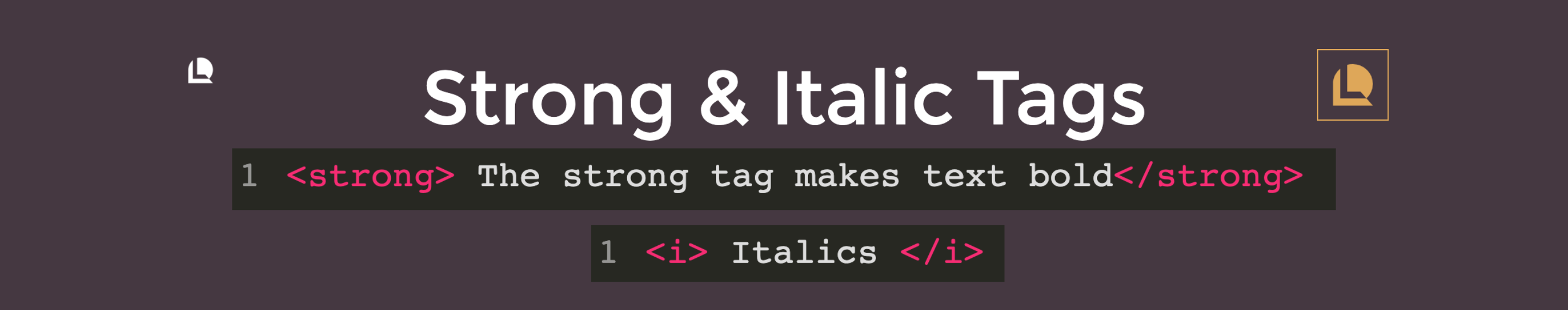 Strong & Italic Tags · The Basics