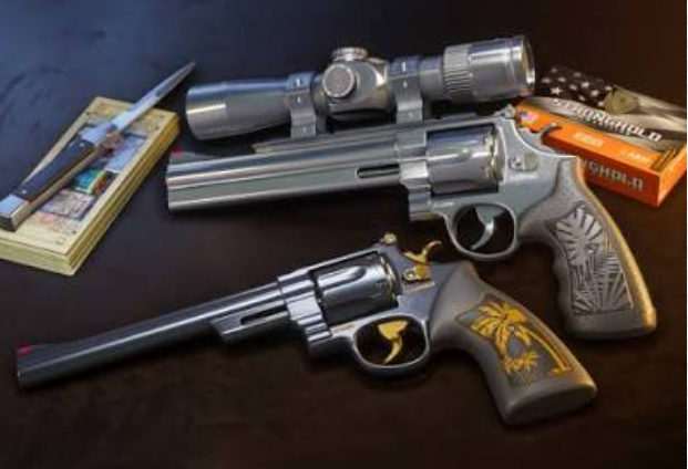 Revolvers Hawk & Little Morgan
