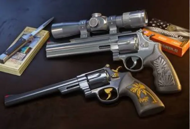 Revolvers Hawk & Little Morgan
