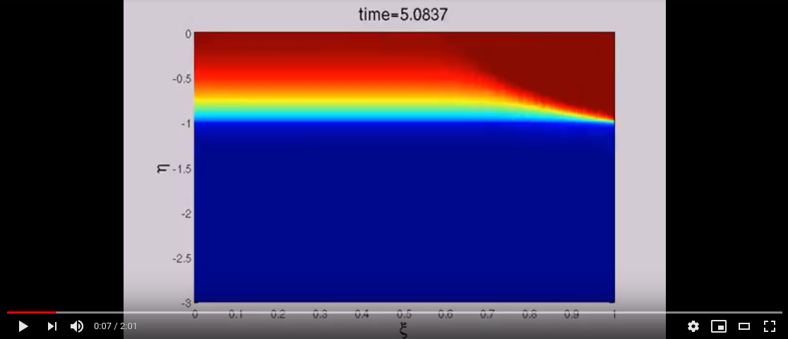 Solute concentration/oscillatory flow 