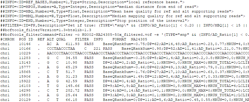 VCF file exapmle