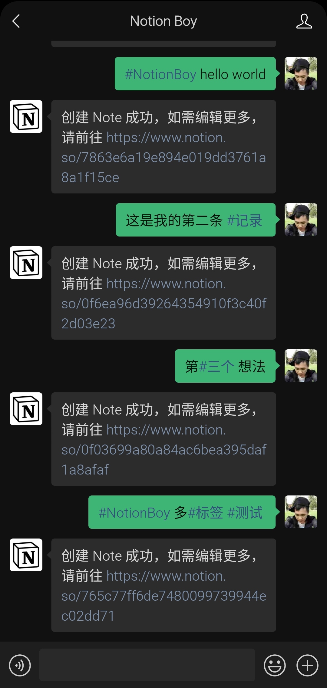 notionboy_usage1.jpg