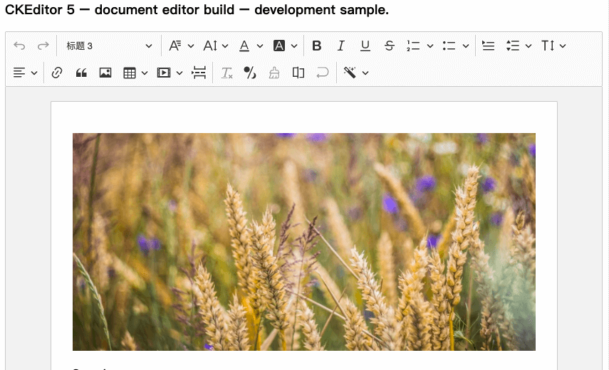 CKEditor 5 classic editor build screenshot