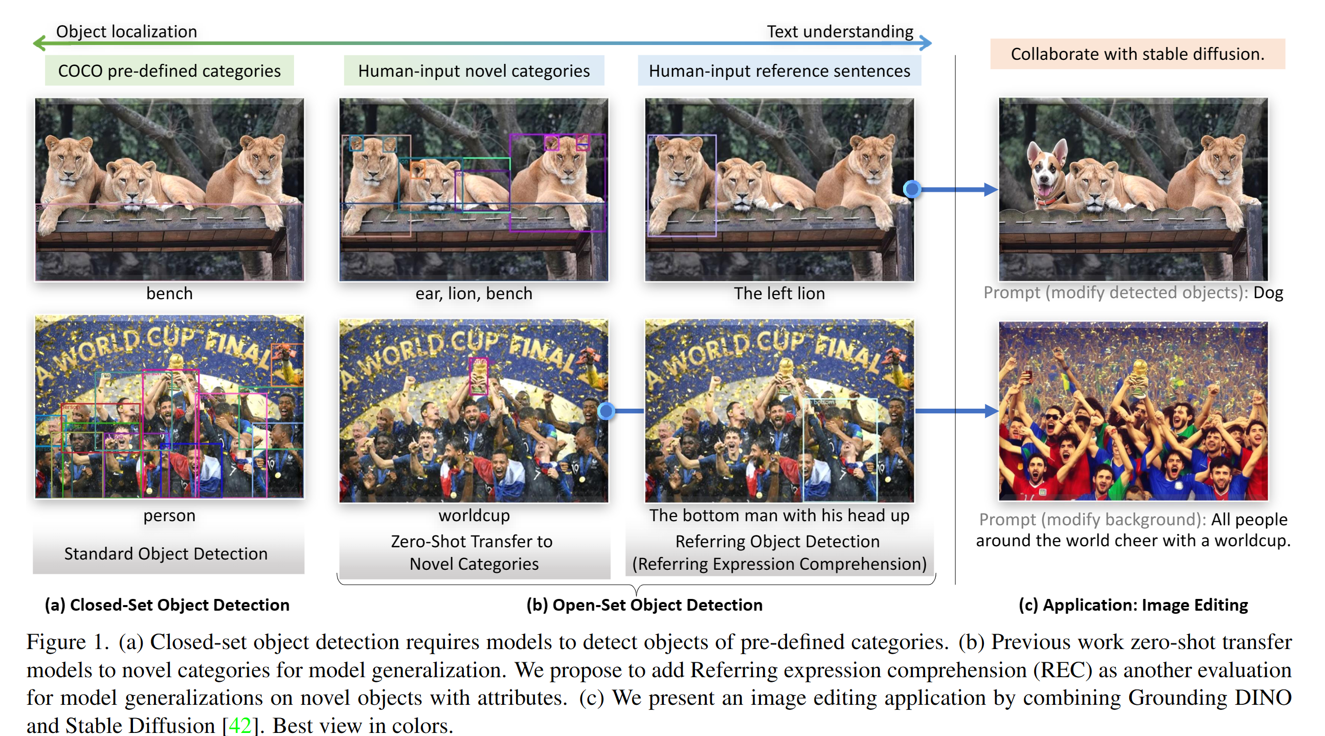 AViD detection examples