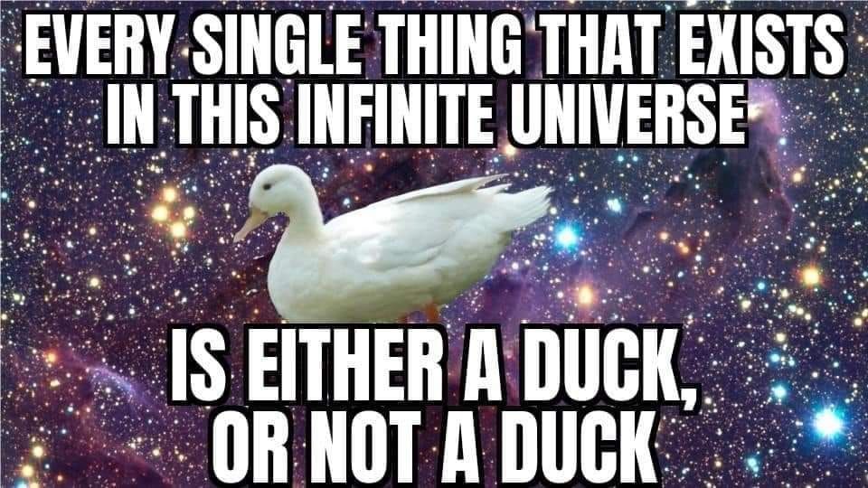 duck image
